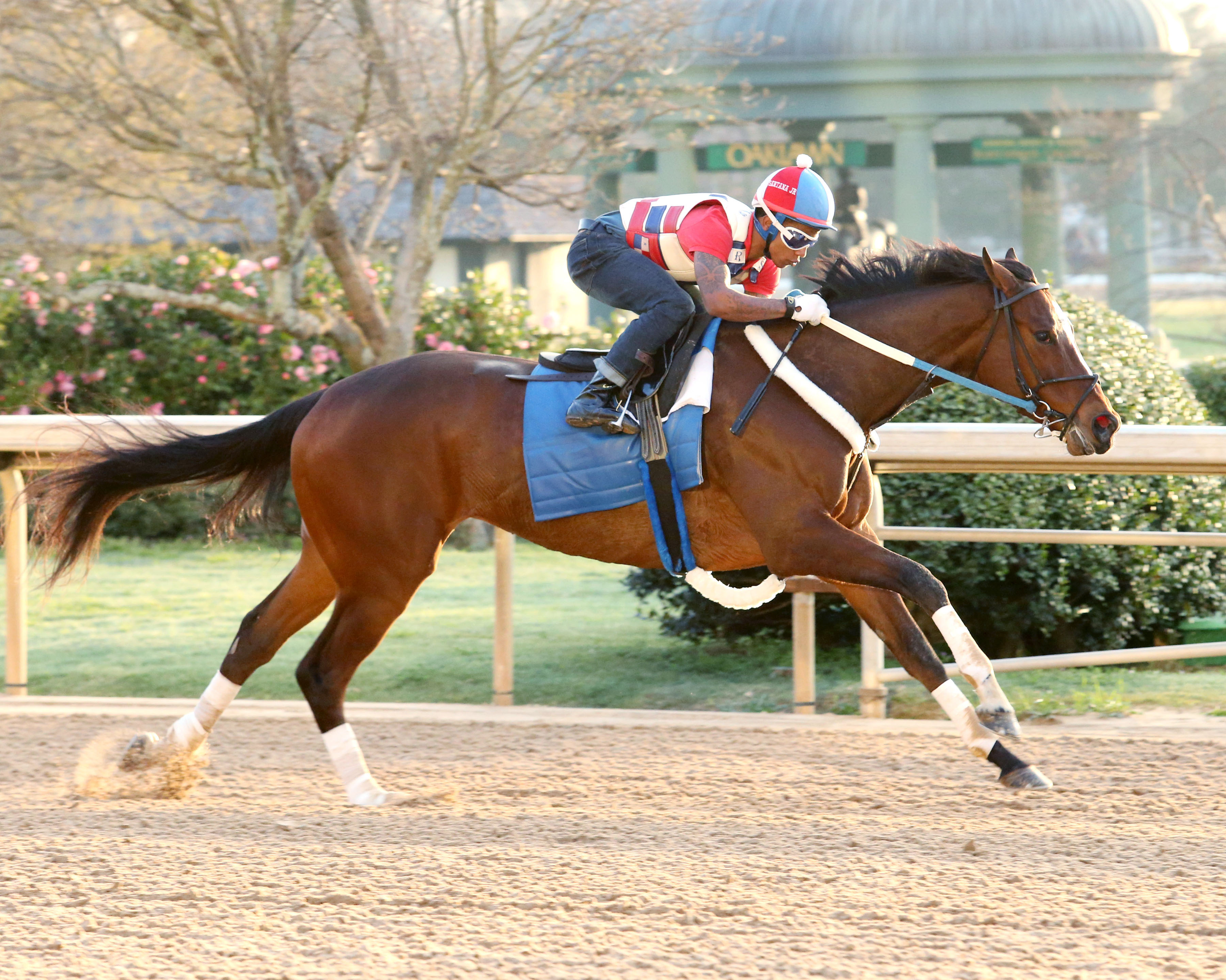 Untapable breezes on March 7