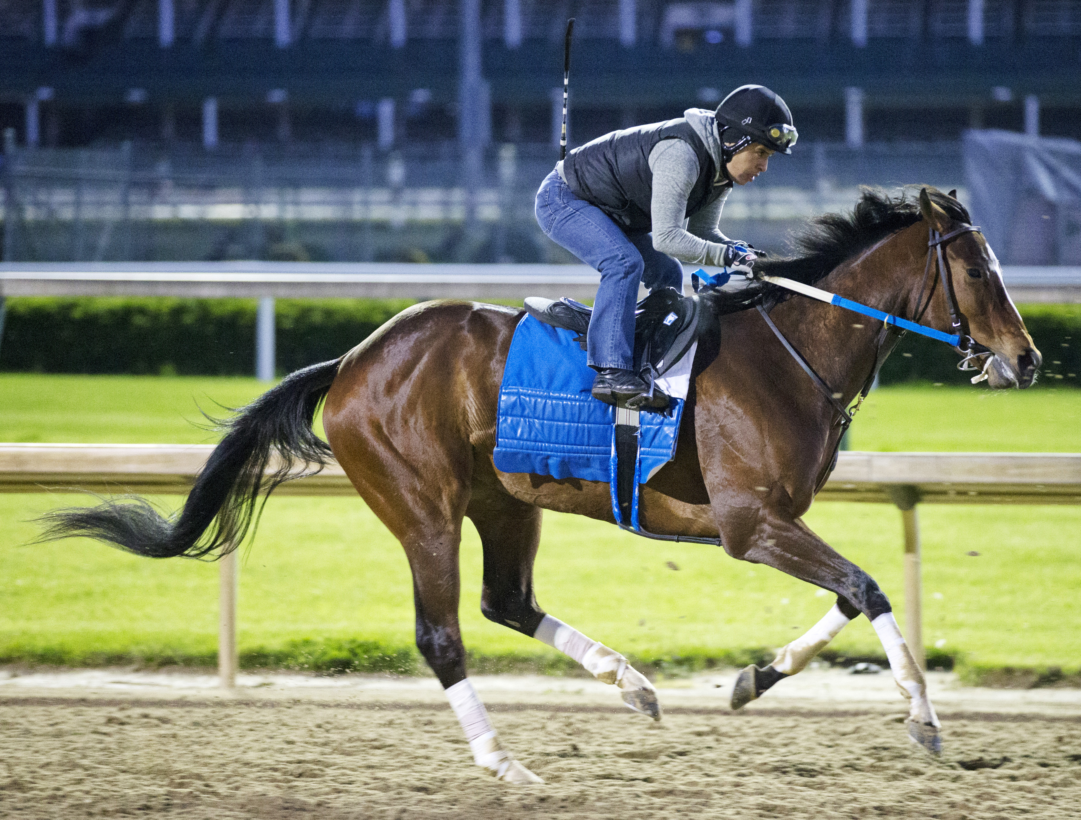 Untapable works at Churchill on April 27