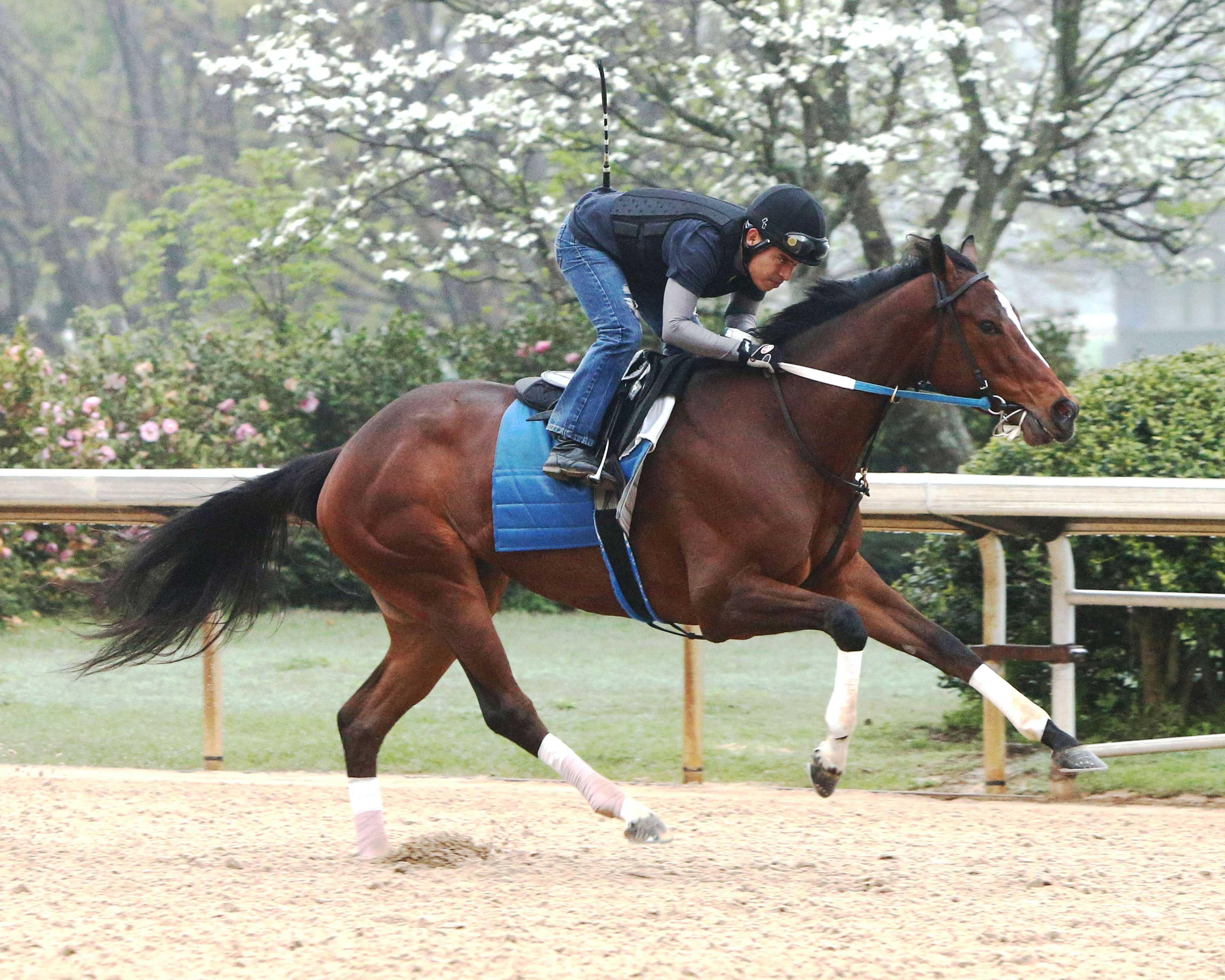 Untapable trains at Oaklawn on April 6