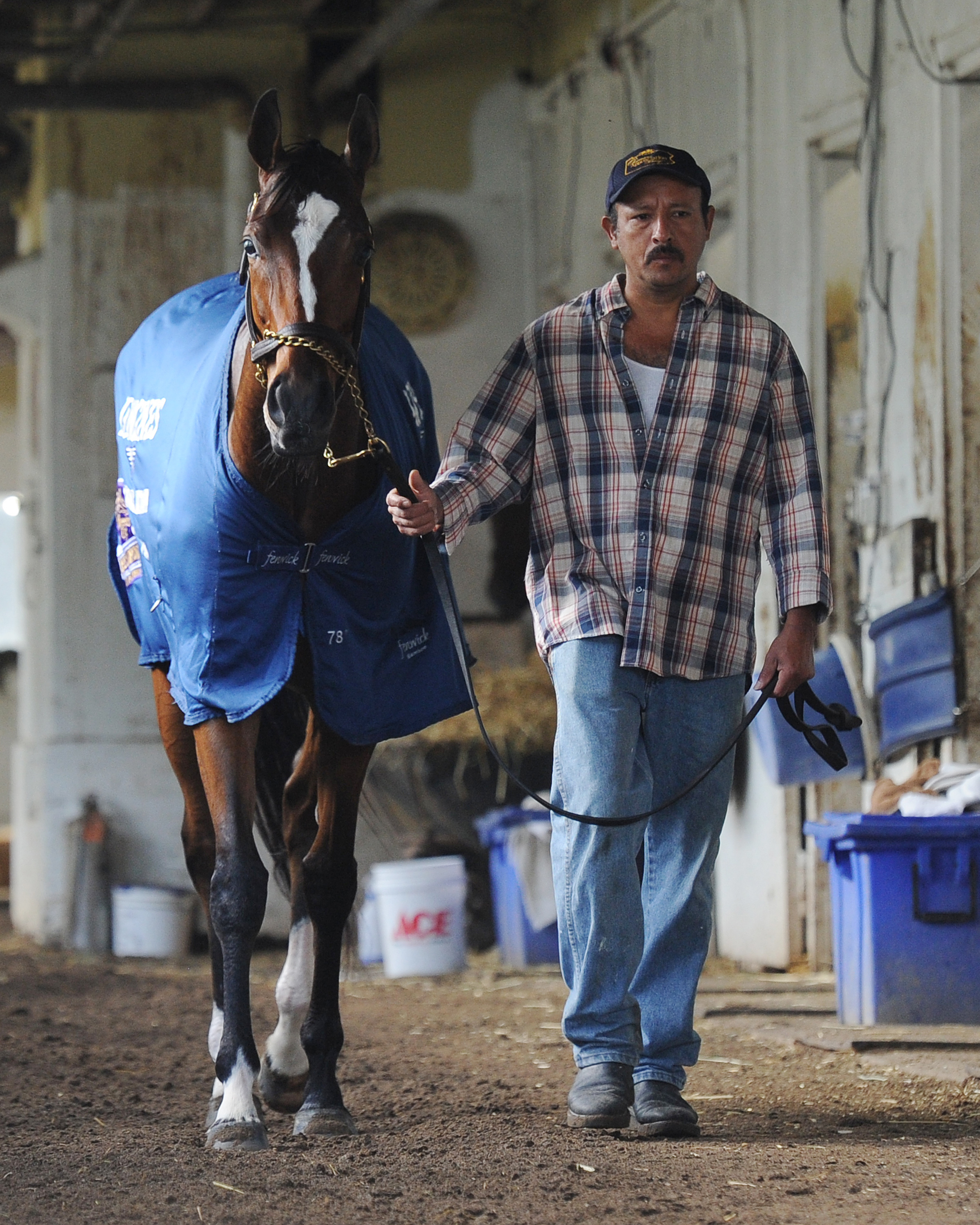 Untapable in the shed row at Belmont Park