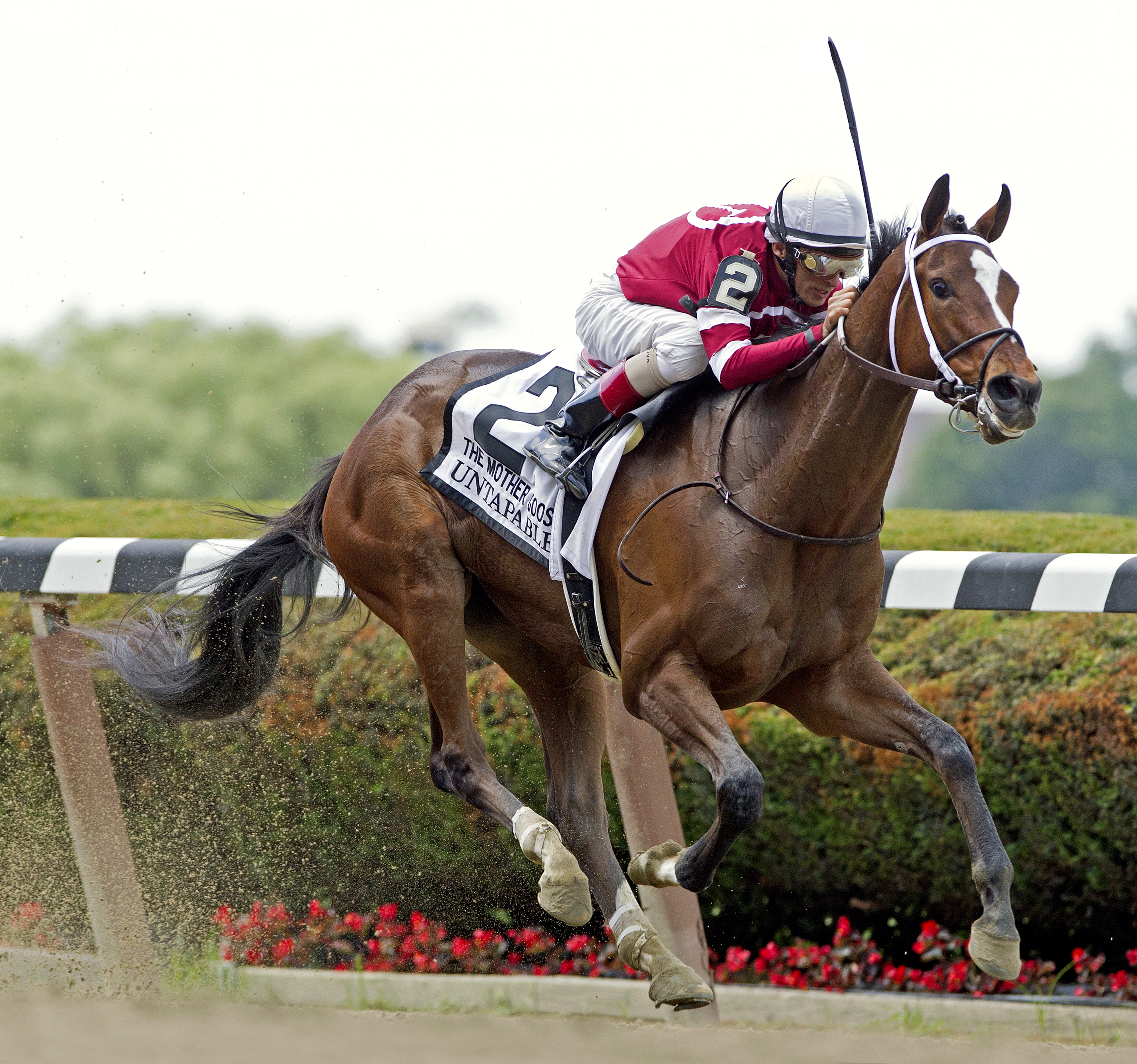 Untapable Mother Goose