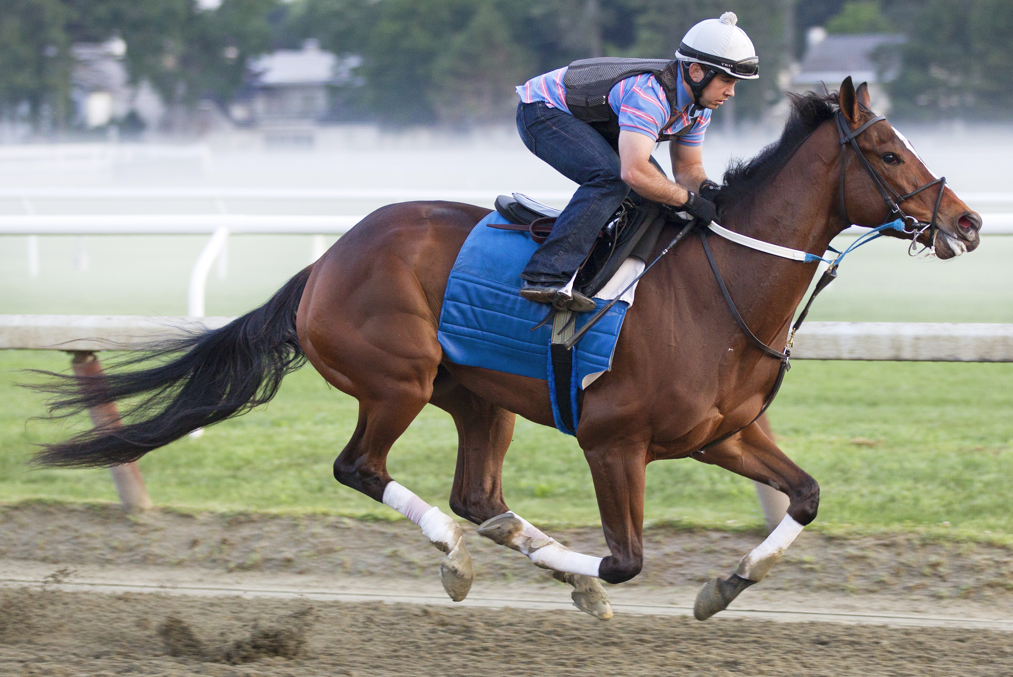 Untapable training on July 20