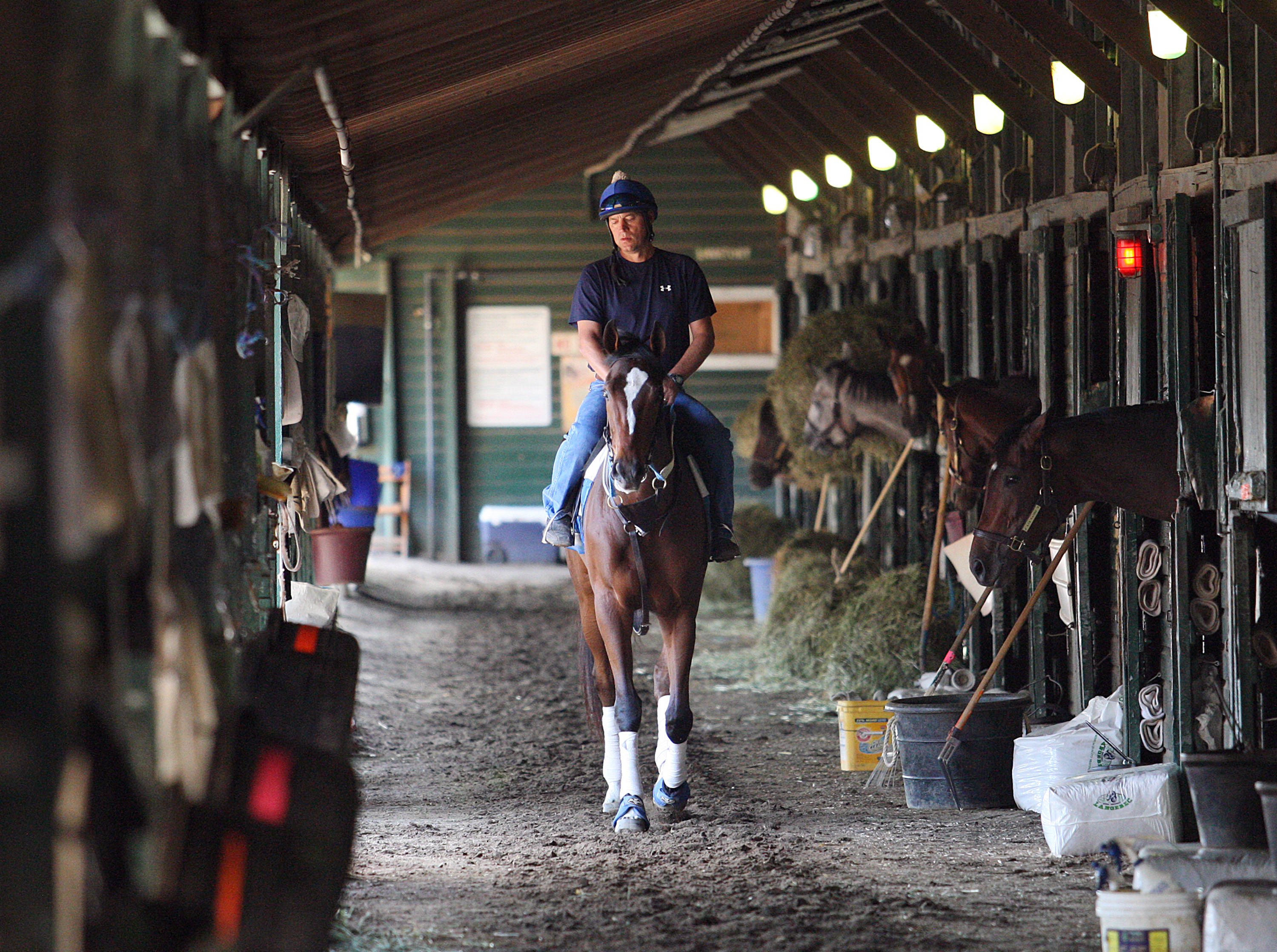 Untapable walks the shedrow at Monmouth Park