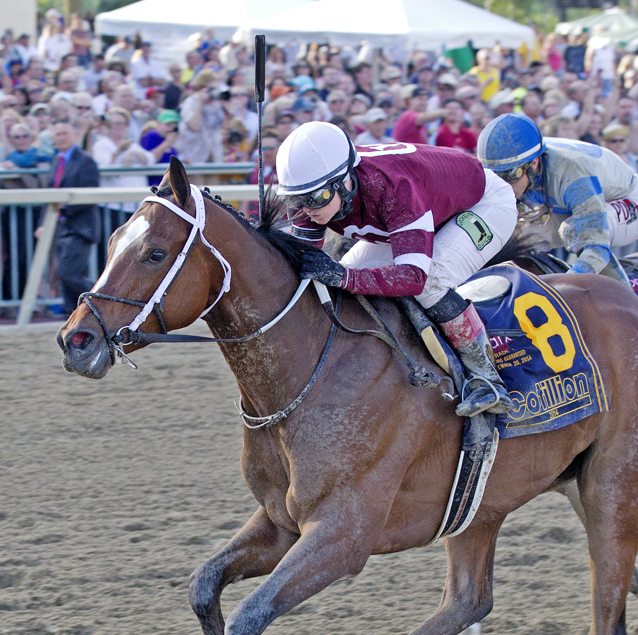 Untapable wins 2014 Cotillion