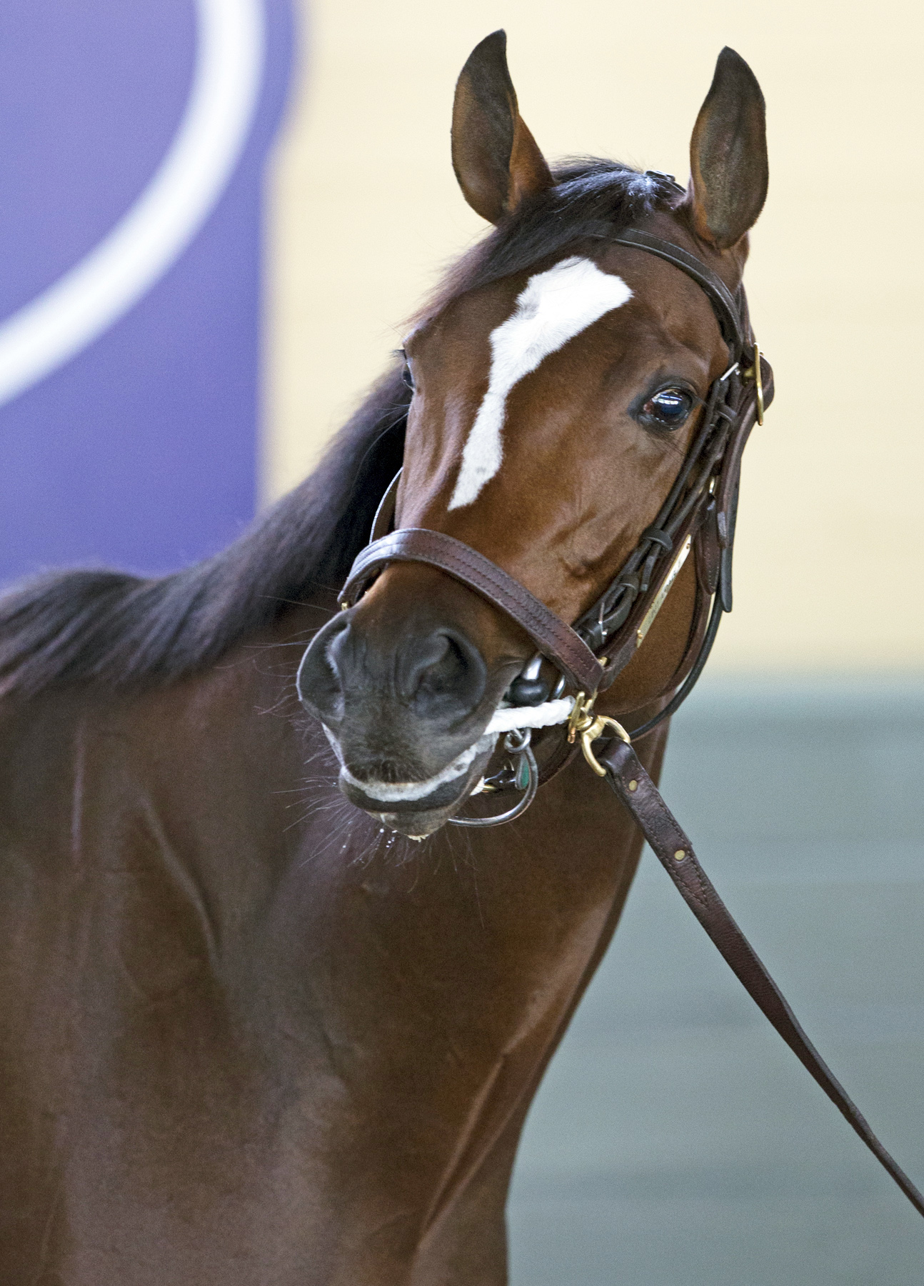 Untapable