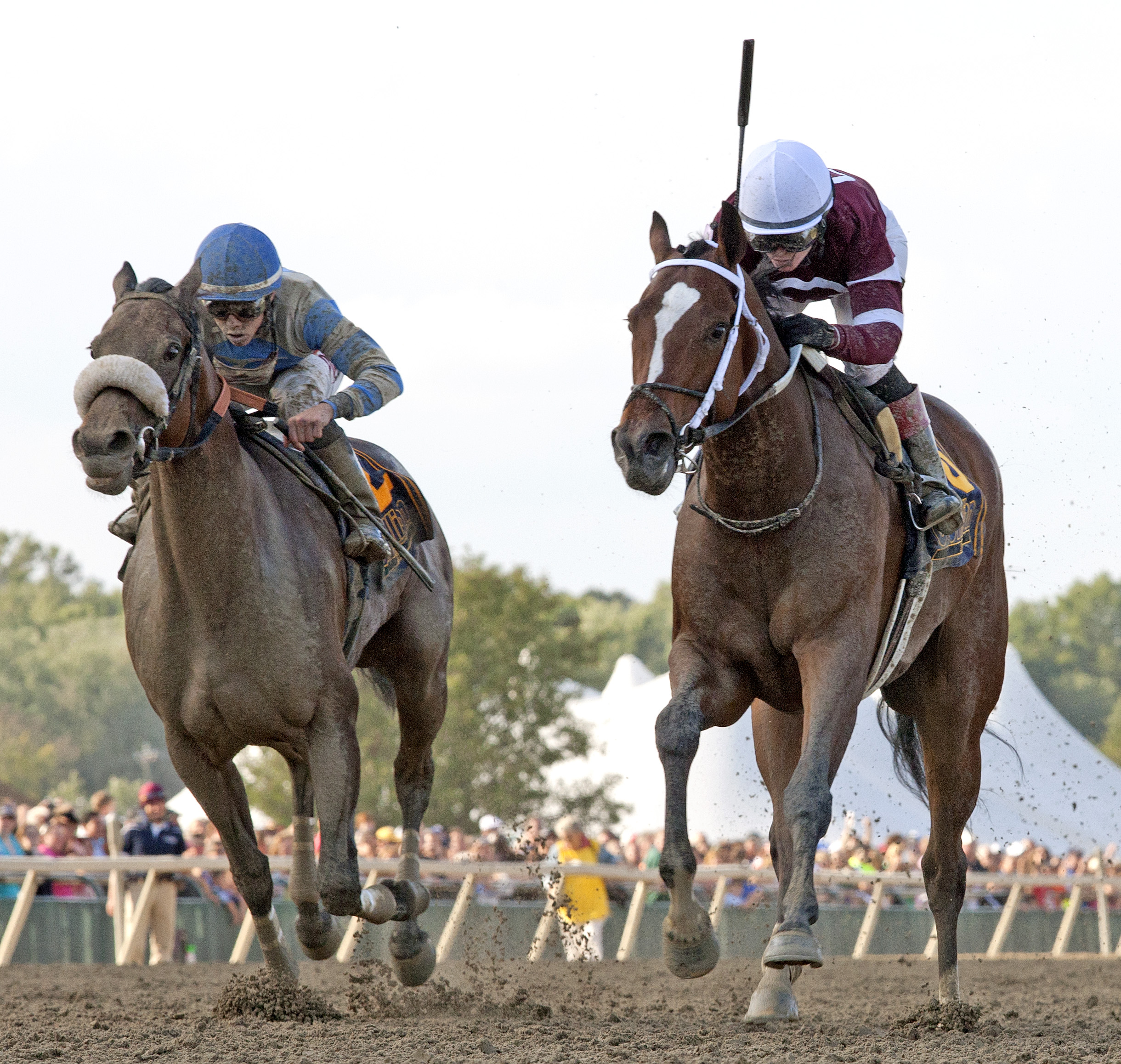 Untapable, Sweet Reason finish 1-2 in 2014 Cotillion