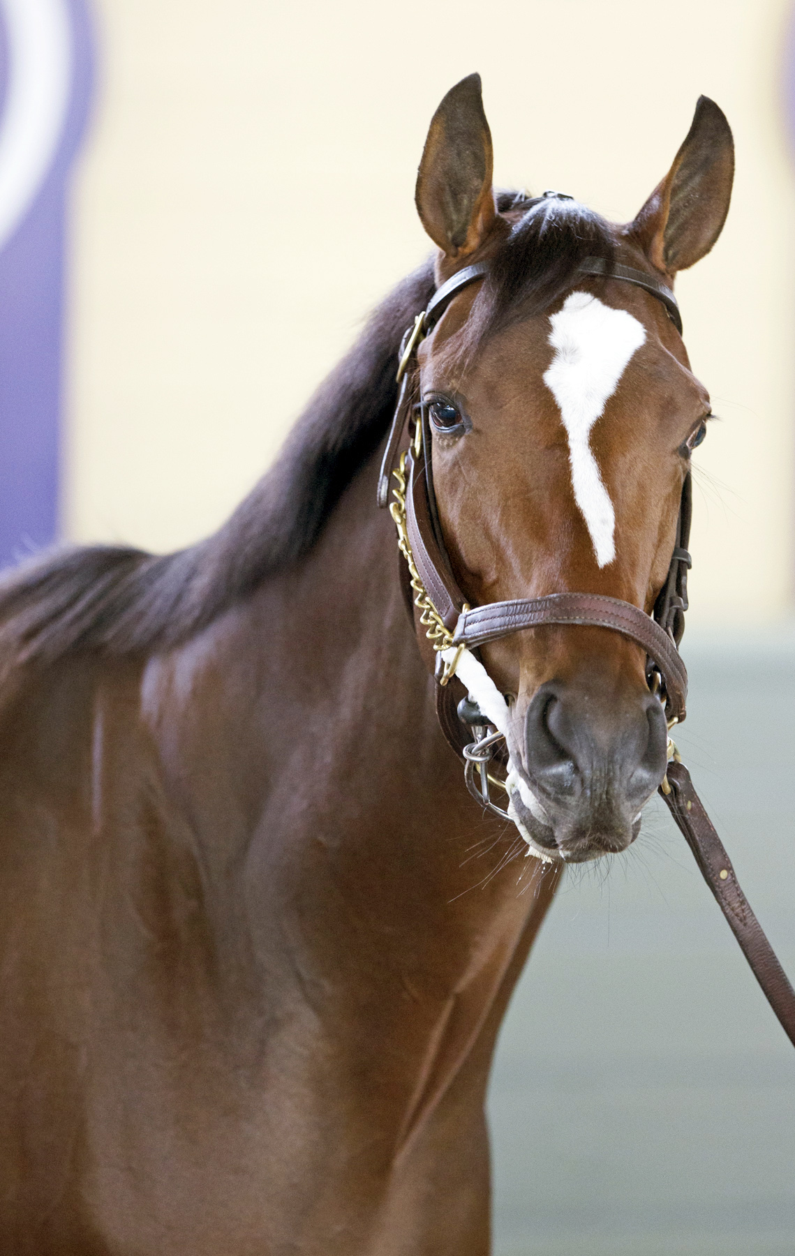 Untapable