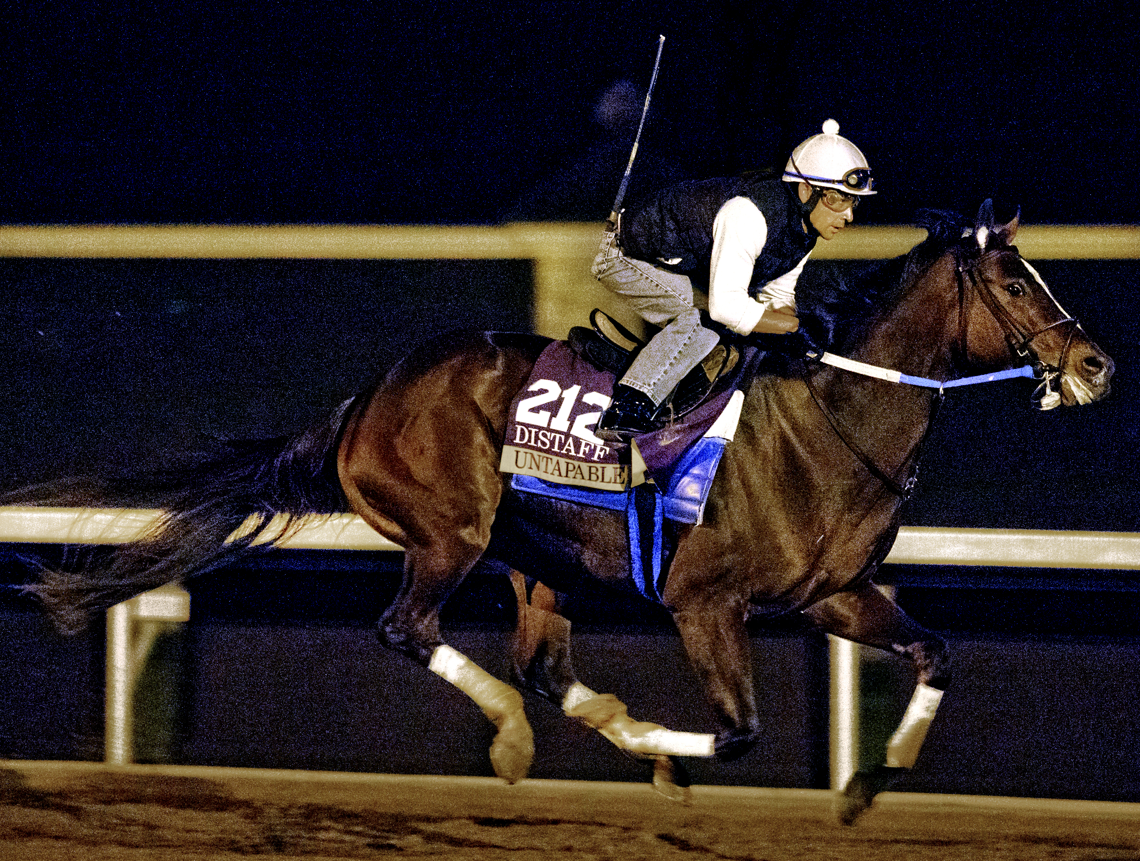 Untapable training on Oct. 26