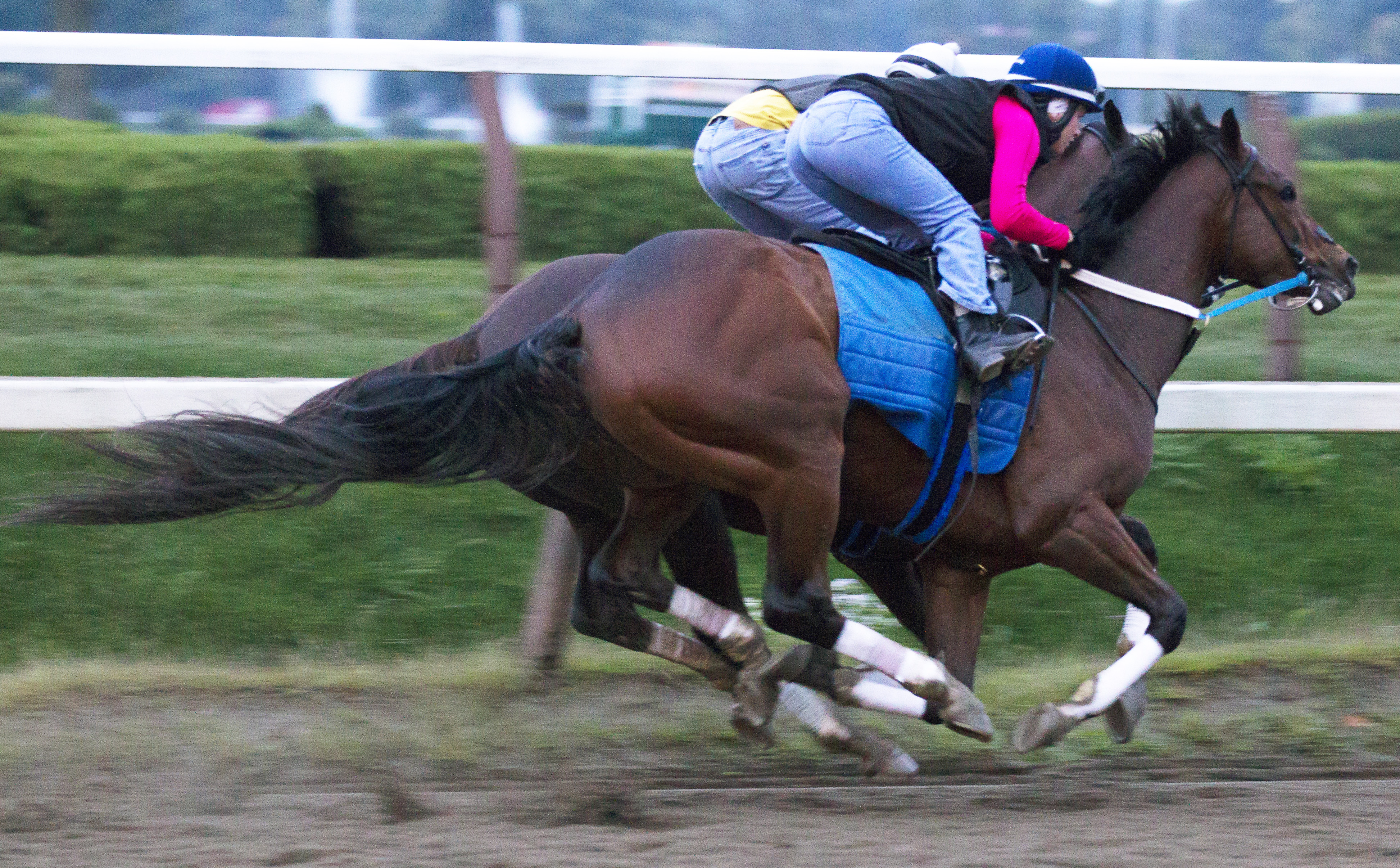 Untapable 8-31-2014