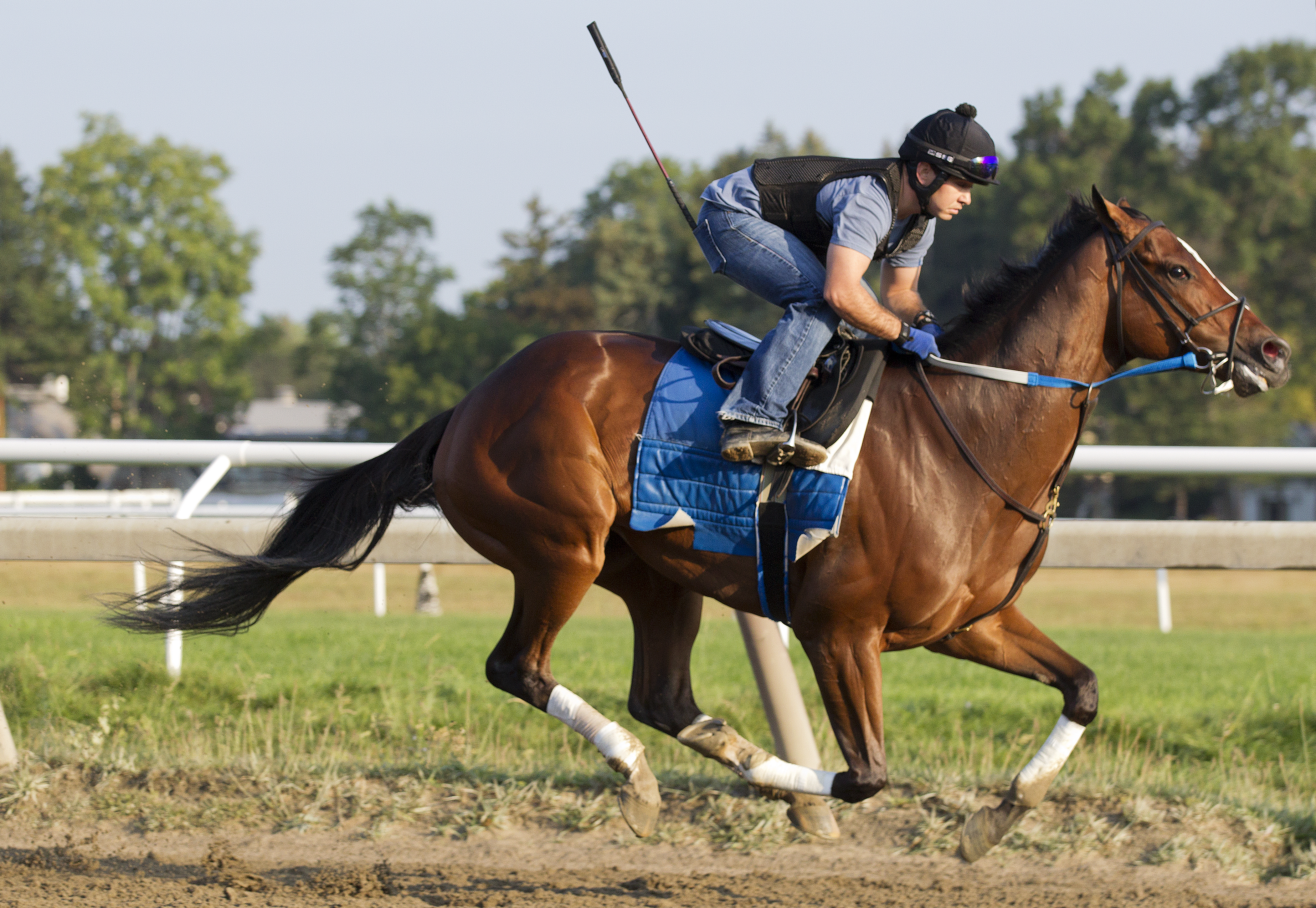 Untapable trains at Saratoga on Sept. 7