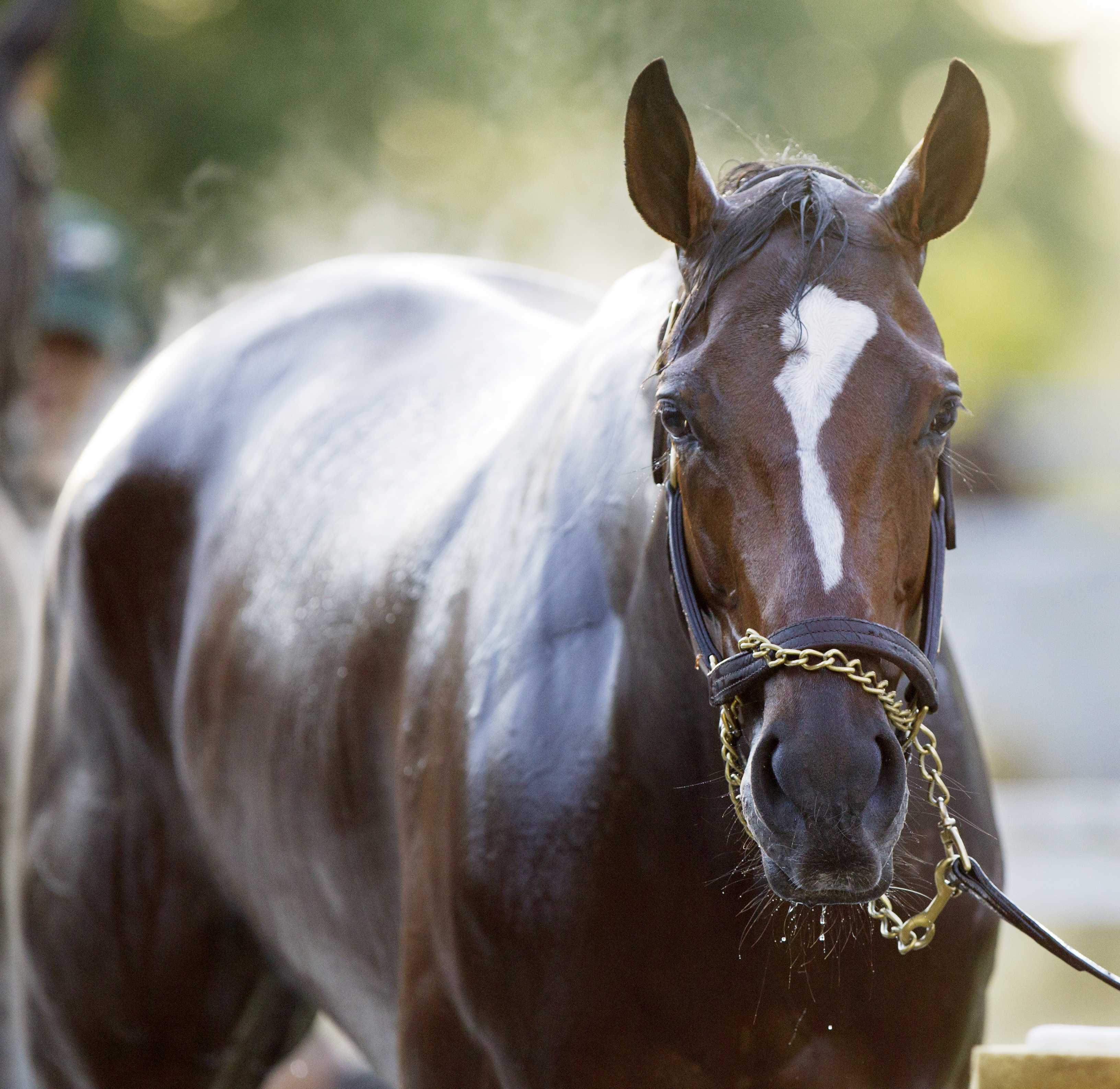 Untapable