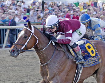 Untapable Cottilion marquee