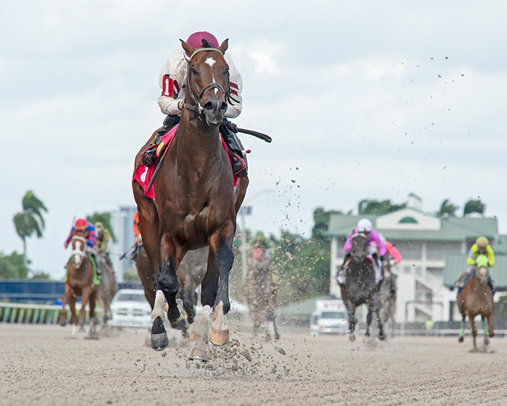 Untitled wins a Dec. 14 maiden race at Gulfstream Park