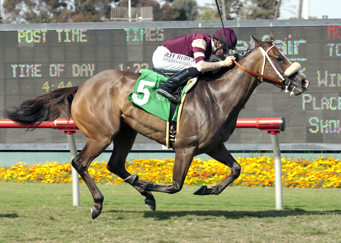 Unusual Hottie, Redondo Beach Stakes