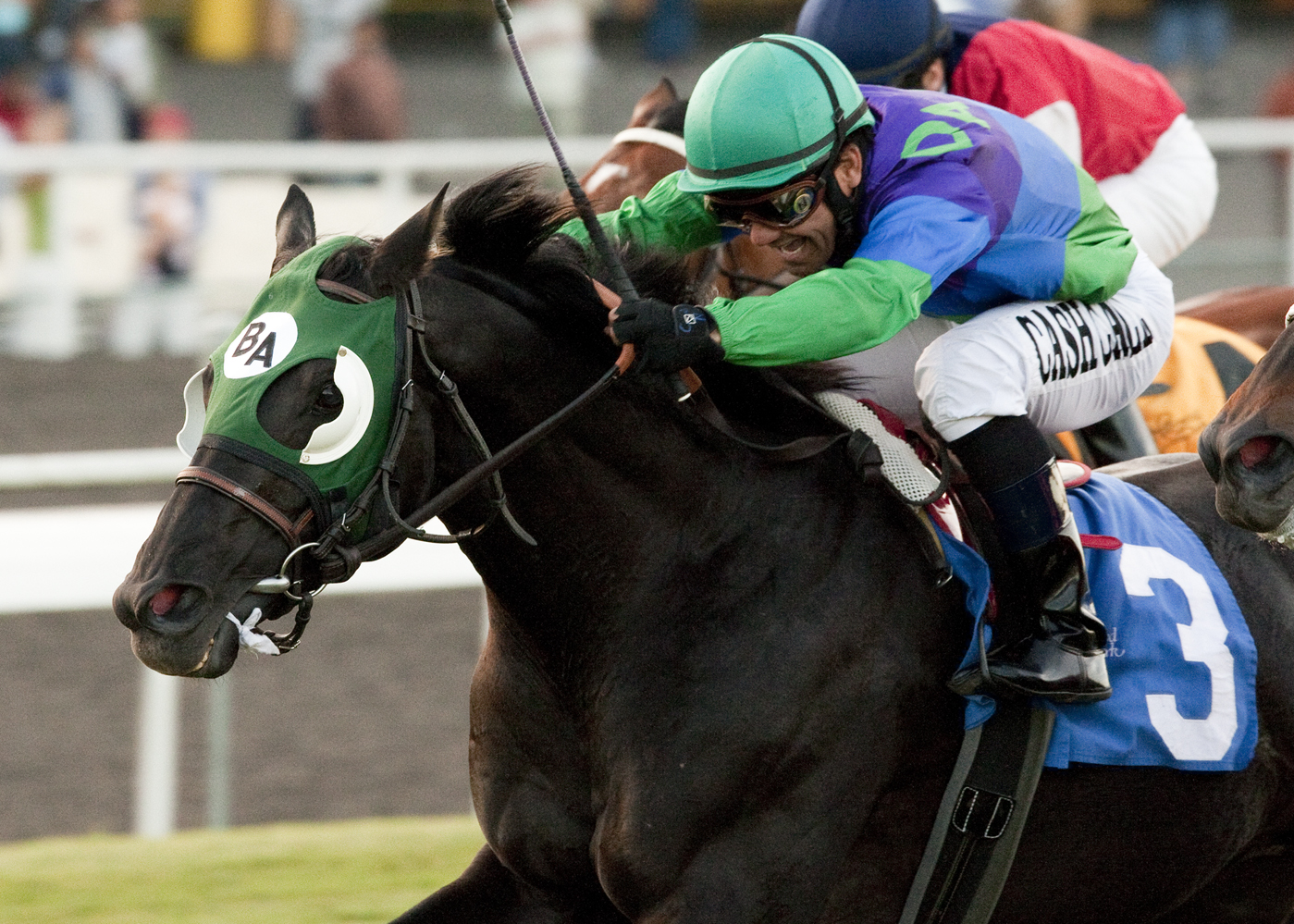 Unusual Suspect wins Hollywood Turf Cup