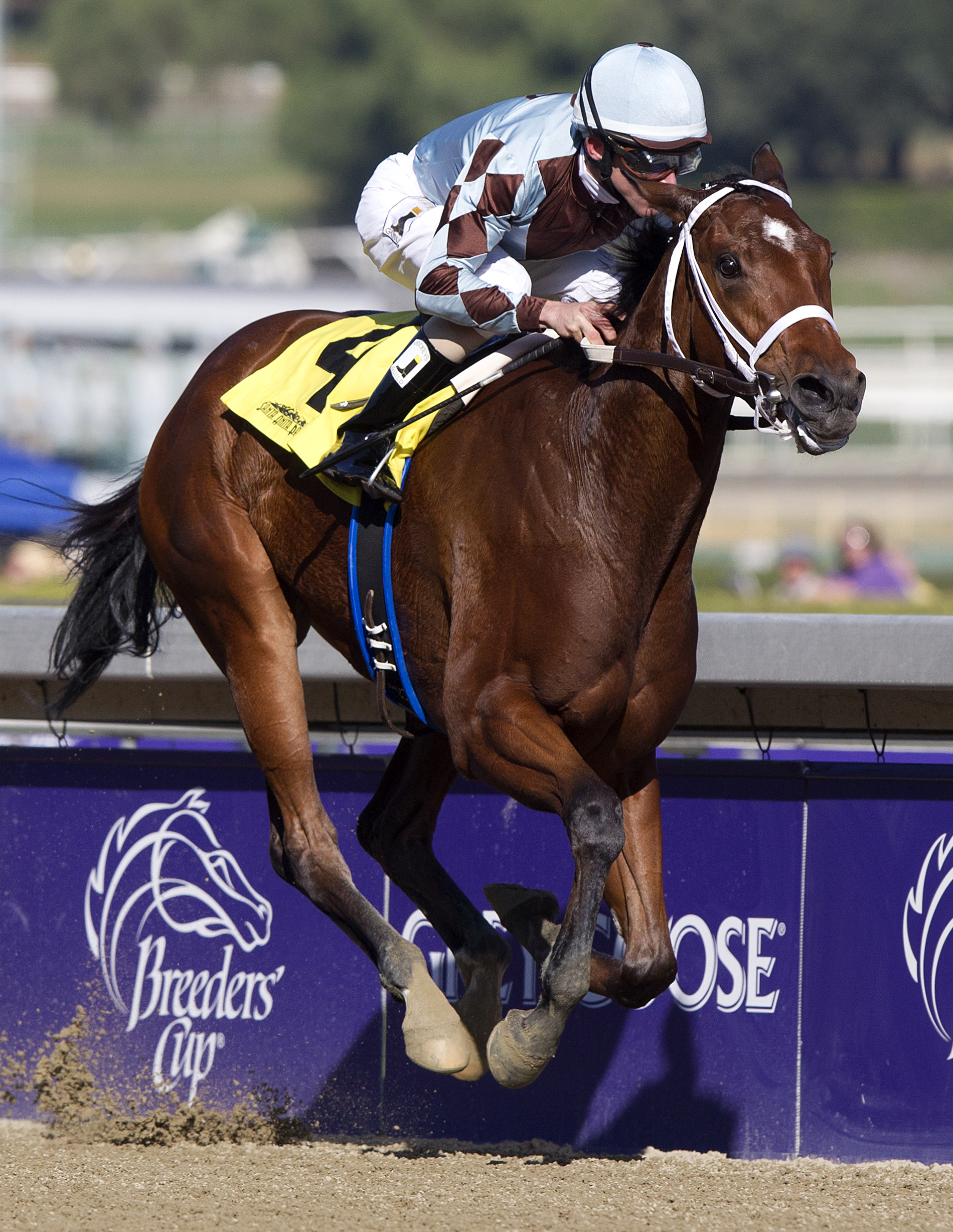 Unusual Way, Breeders' Cup Juvenile Filly Sprint Preview Stakes