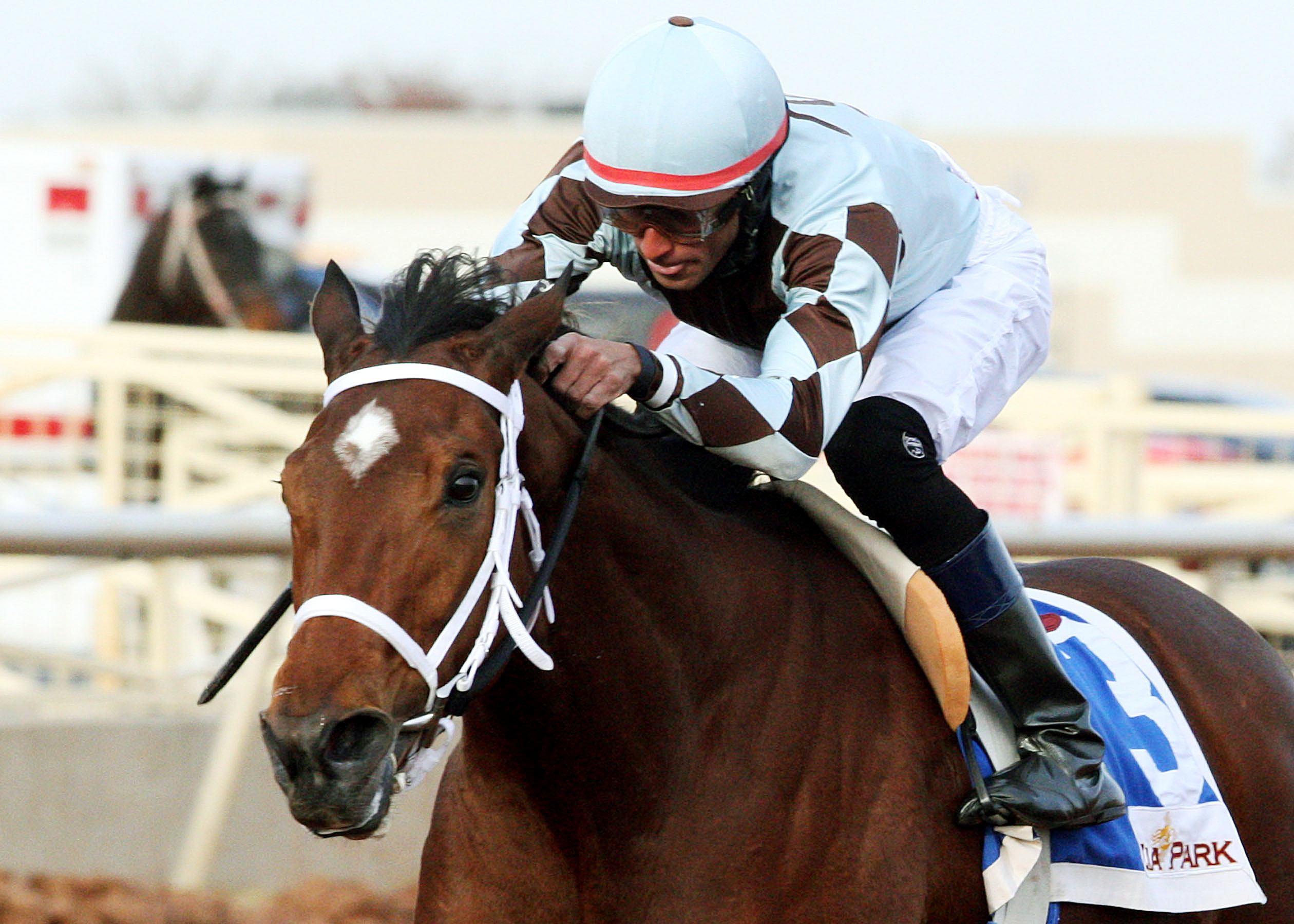 Unusual Way wins the Zia Park Oaks