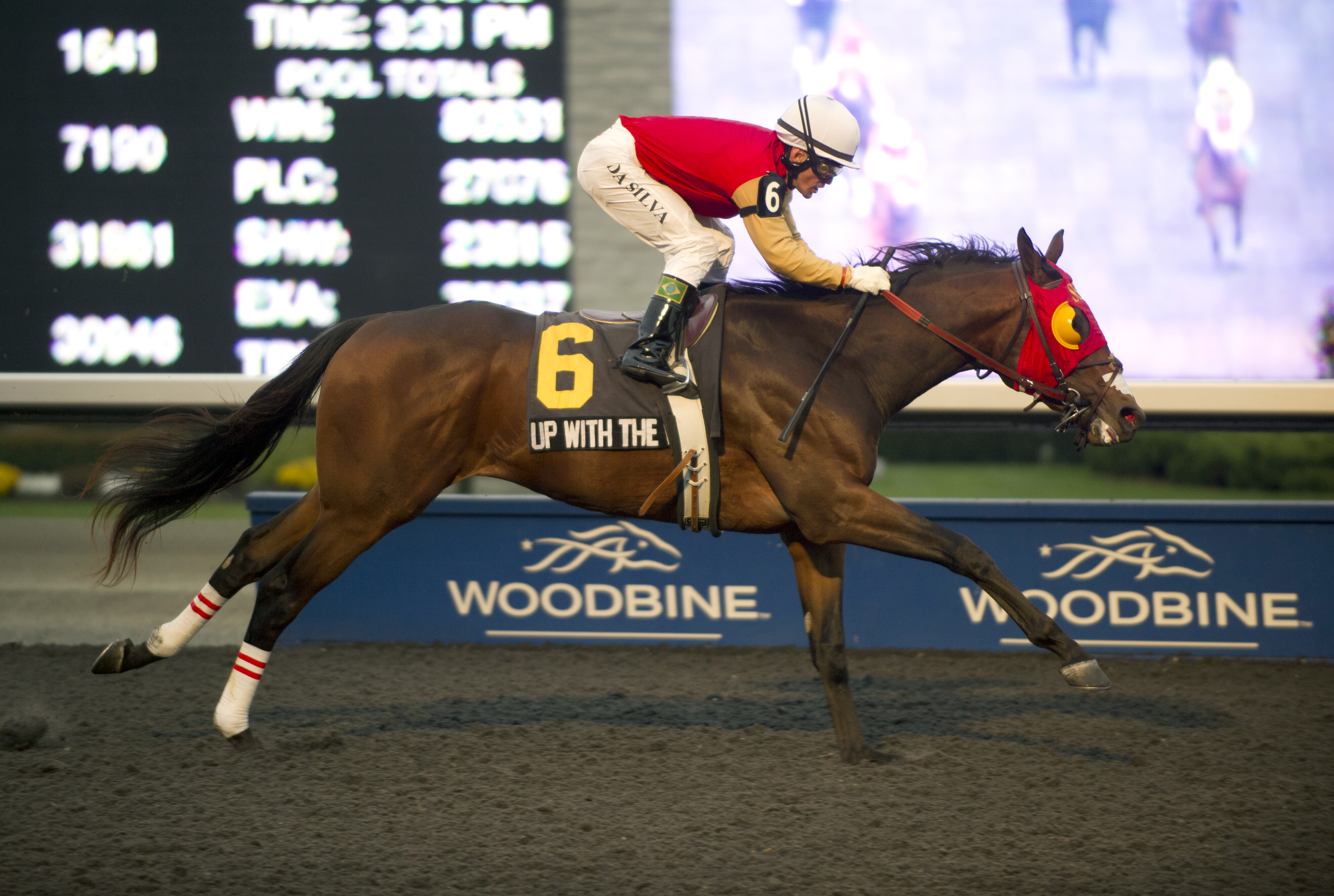 Up With the Birds, Coronation Futurity