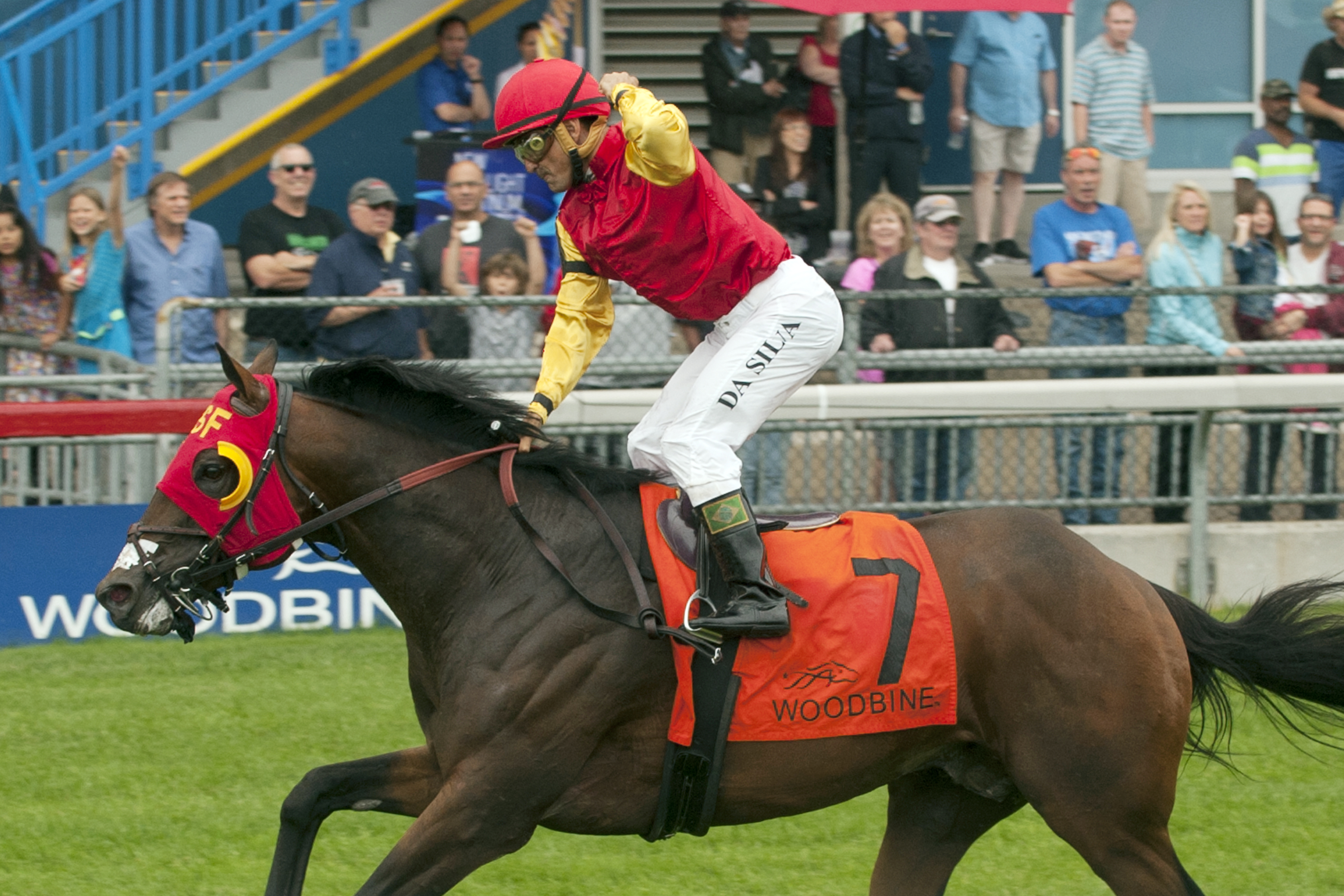 Up With the Birds wins the Nijinsky Stakes