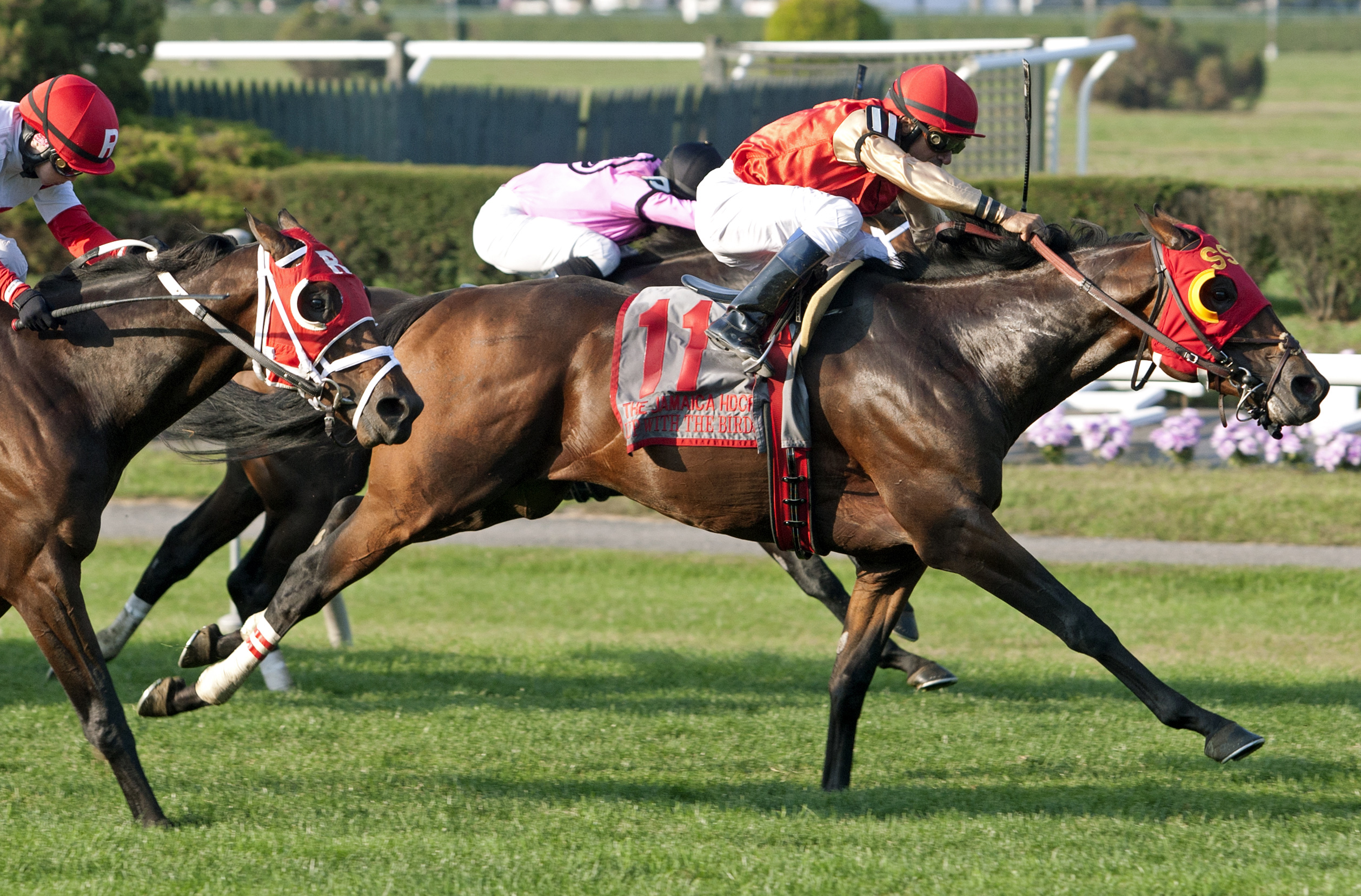 Up With the Birds wins the Jamaica Handicap