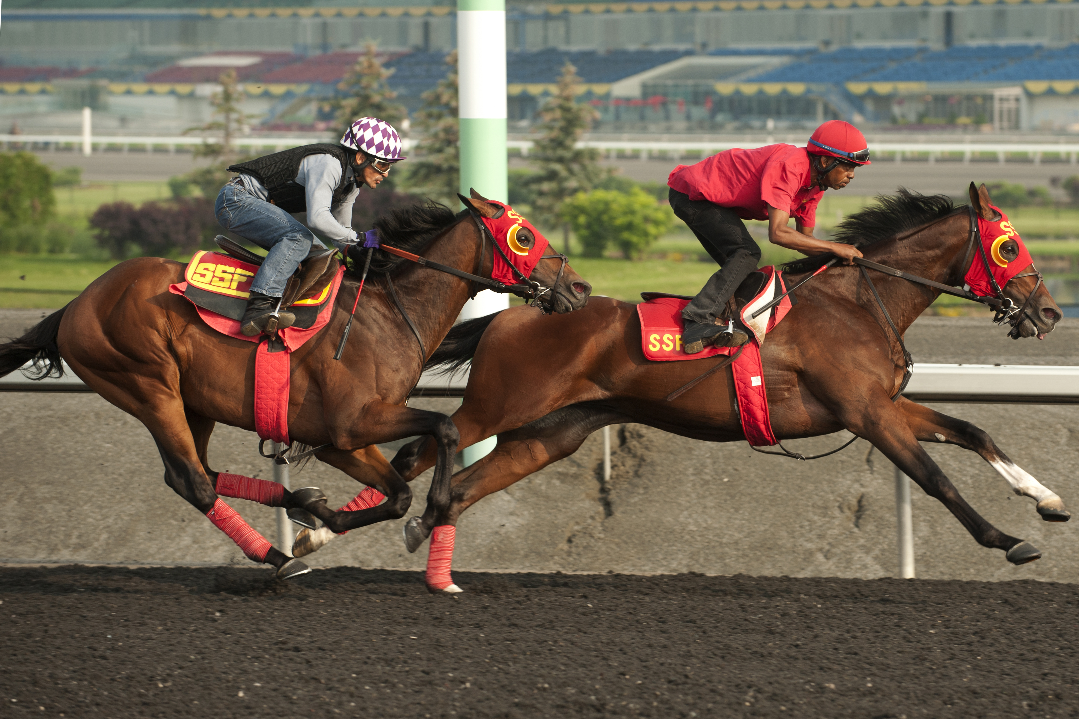 Up With the Birds trains with His Race to Win