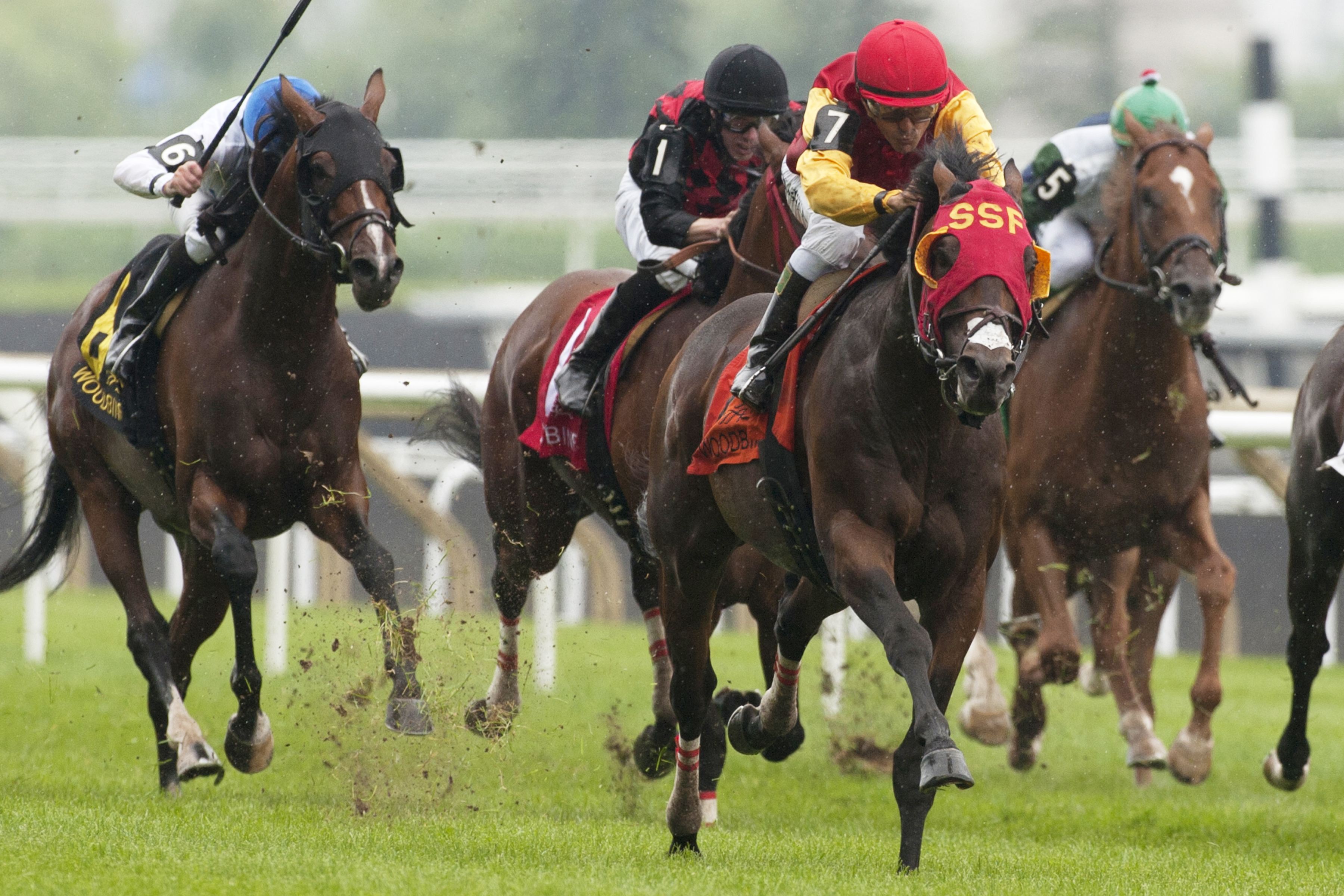 Up With the Birds wins the 2014 Nijinsky Stakes