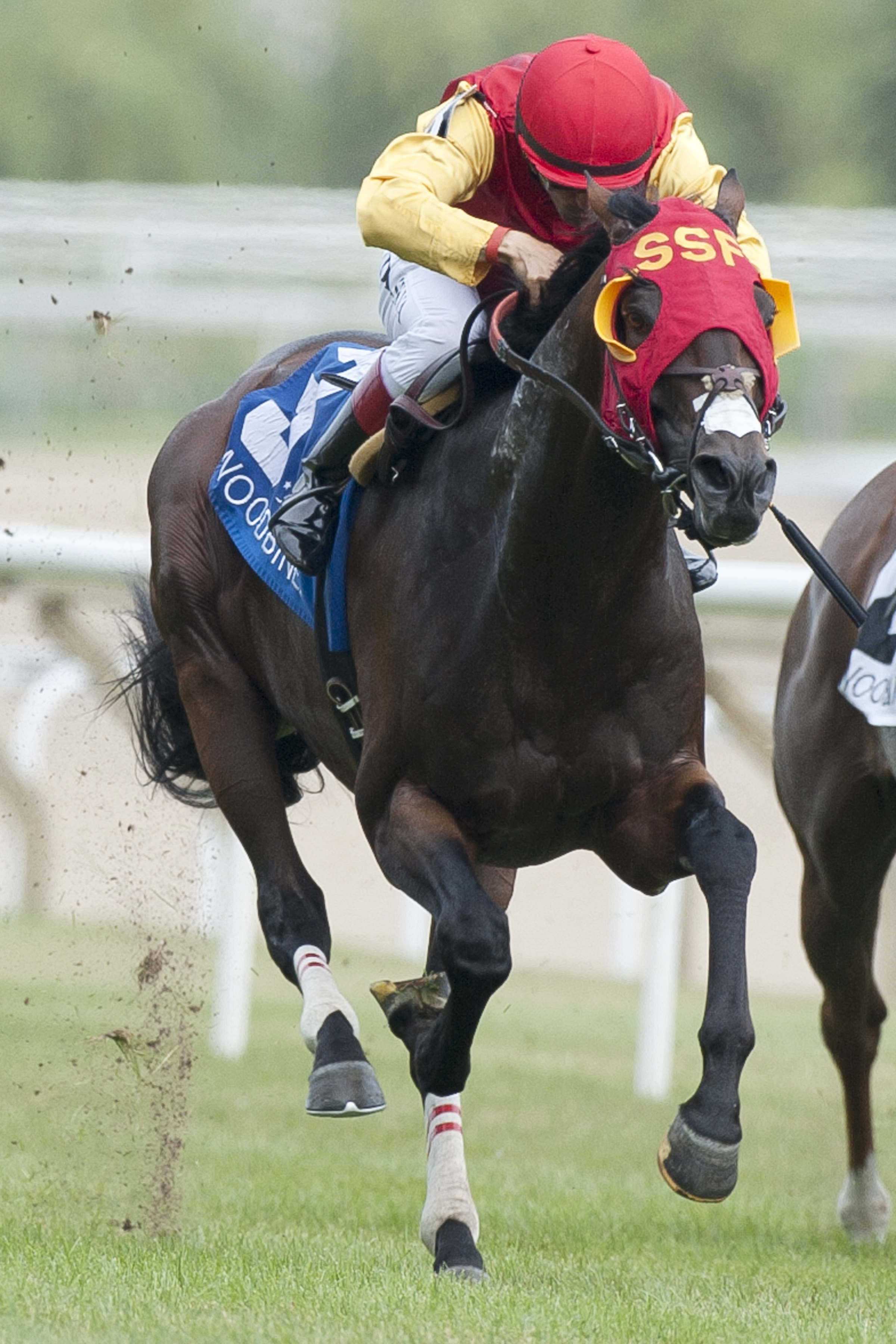 Up With the Birds wins the Nijinsky