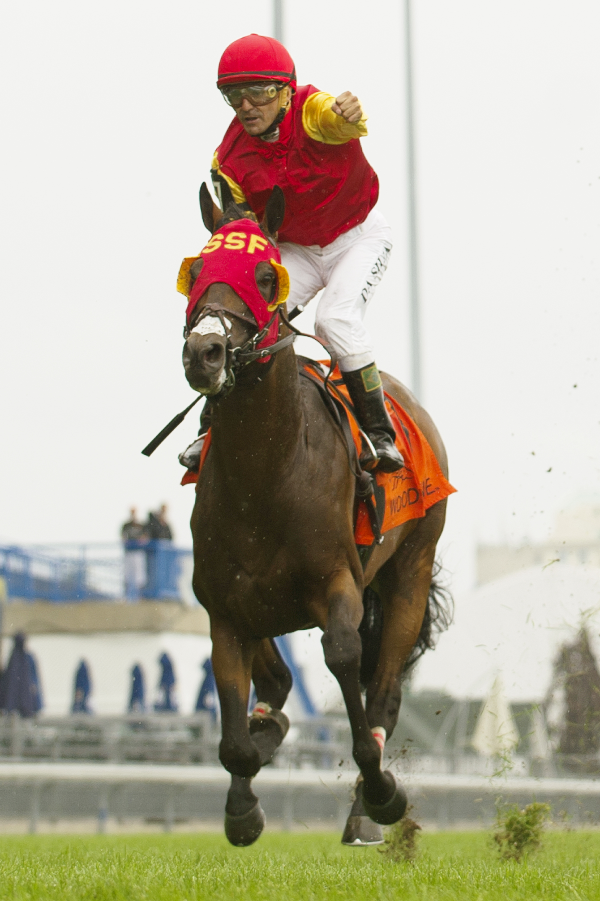 Eurico Da Silva celebrates winning the Nijinsky aboard Up With the Birds