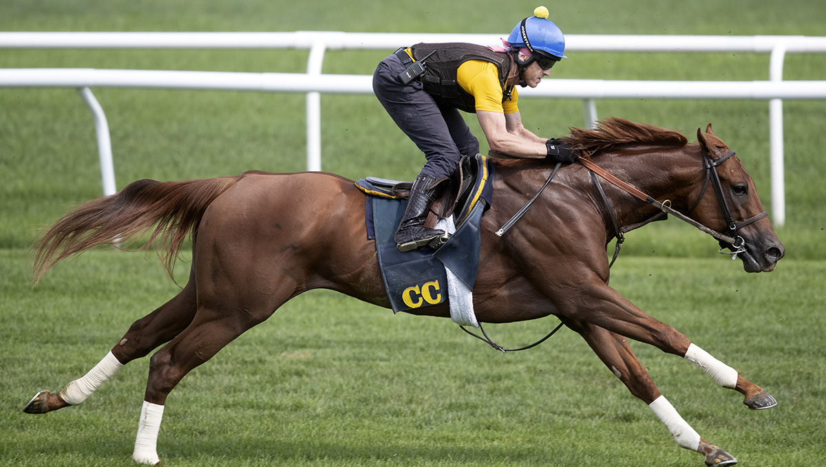 Up the Ante trains at Saratoga on Aug. 10