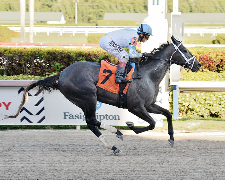 Up in Smoke wins a March 5 allowance at Gulfstream Park