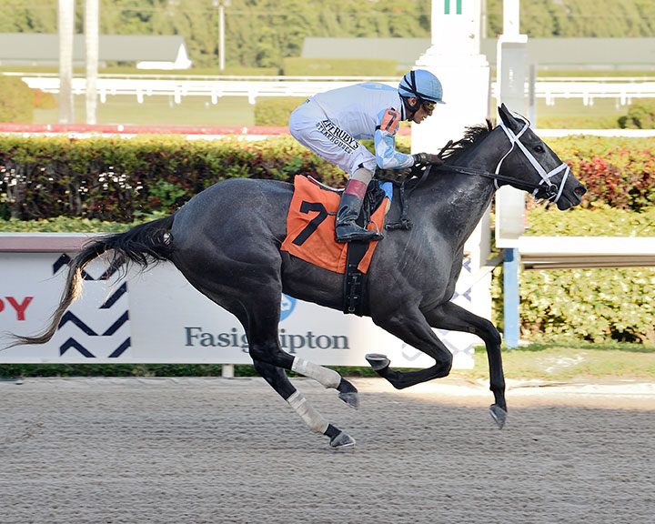 Up in Smoke wins a March 5 allowance at Gulfstream Park