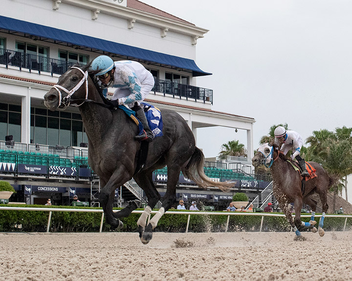 Up in Smoke wins the 2020 Game Face Stakes at Gulfstream Park