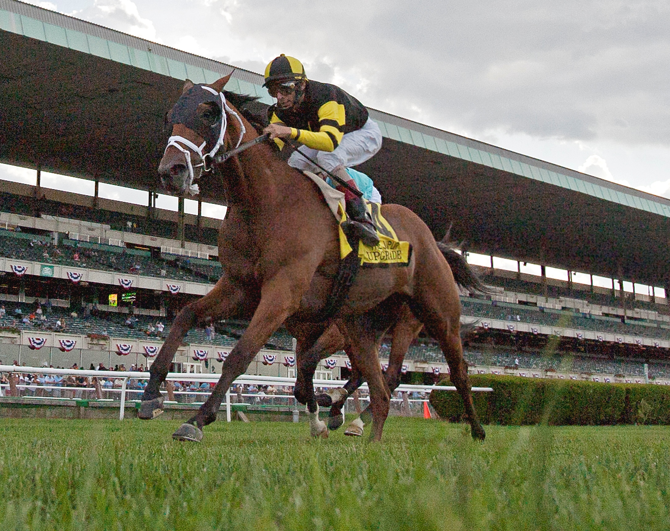 Upgrade, Jaipur Stakes