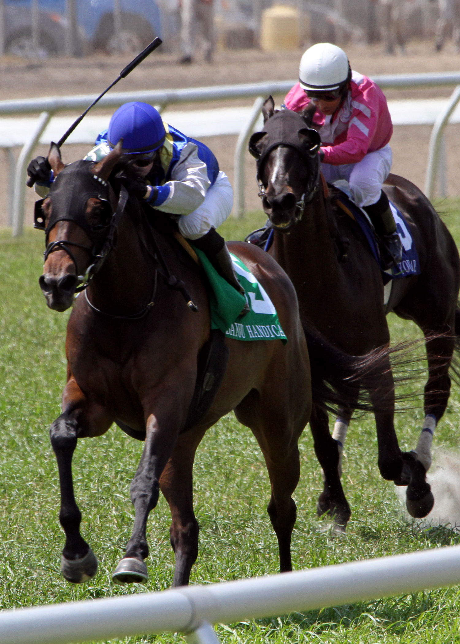 Fair Grounds turf 2011