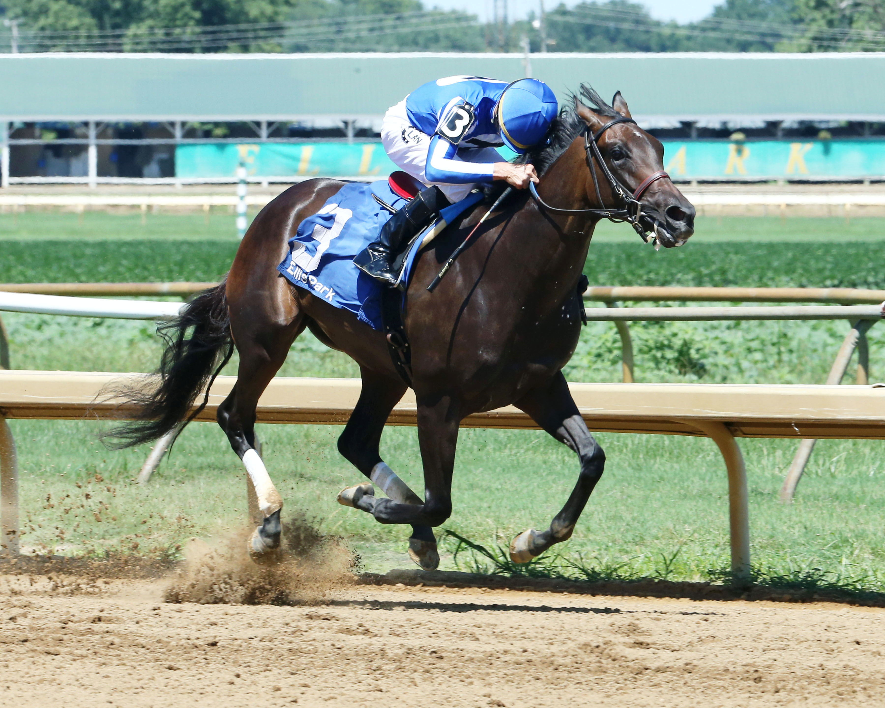 Upset Brewing wins a July 29 maiden race