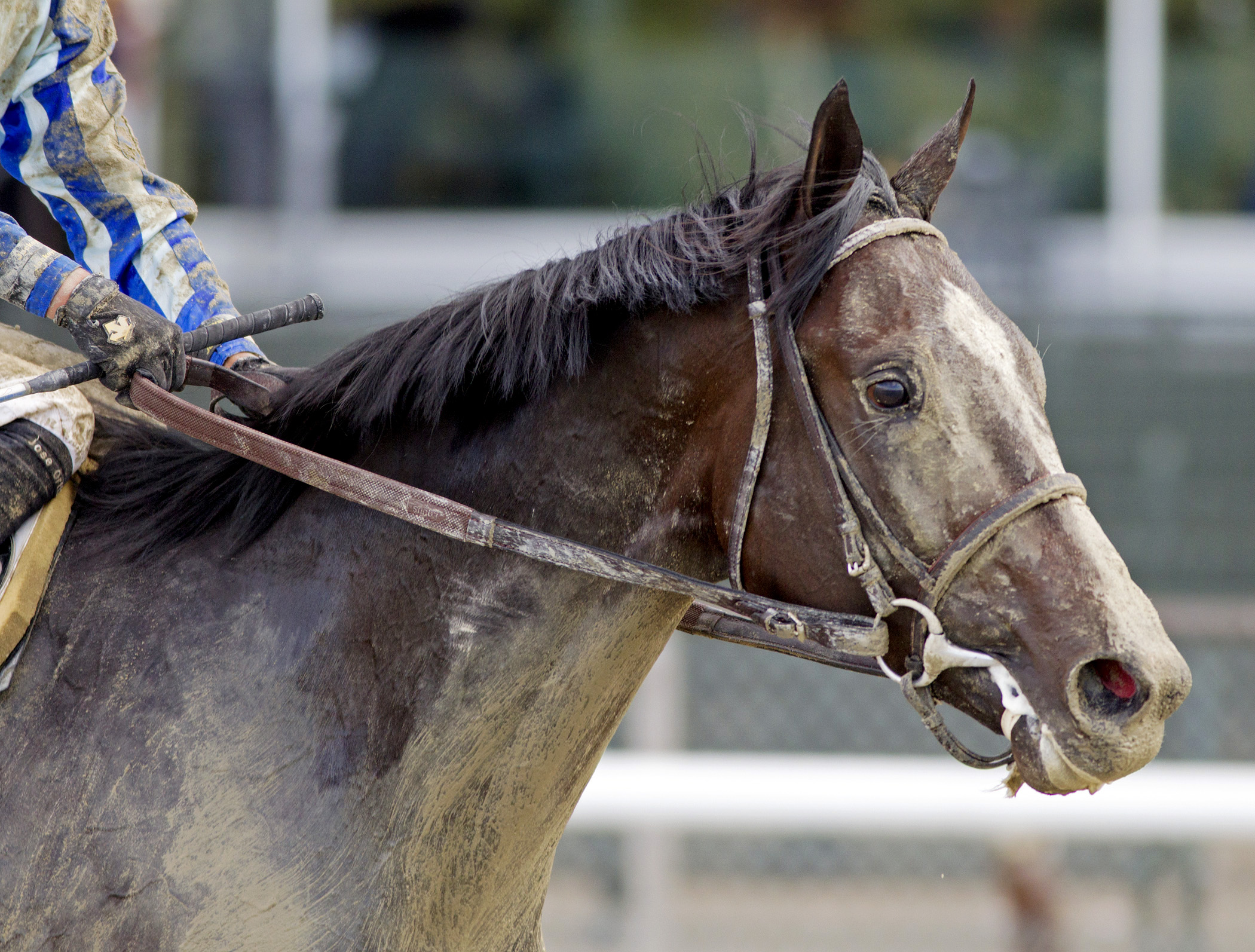 Upstart