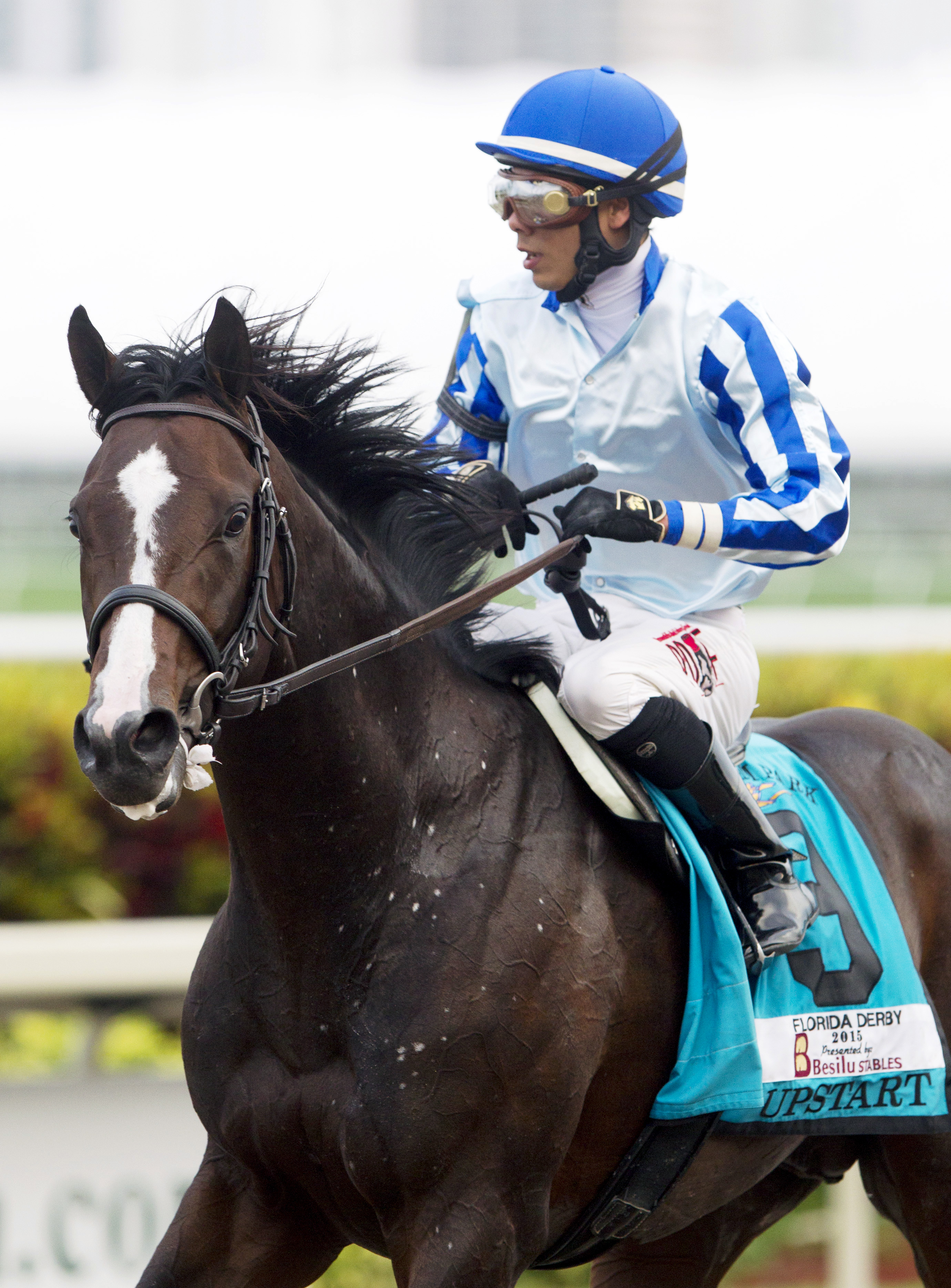 Upstart finishes second in the Florida Derby