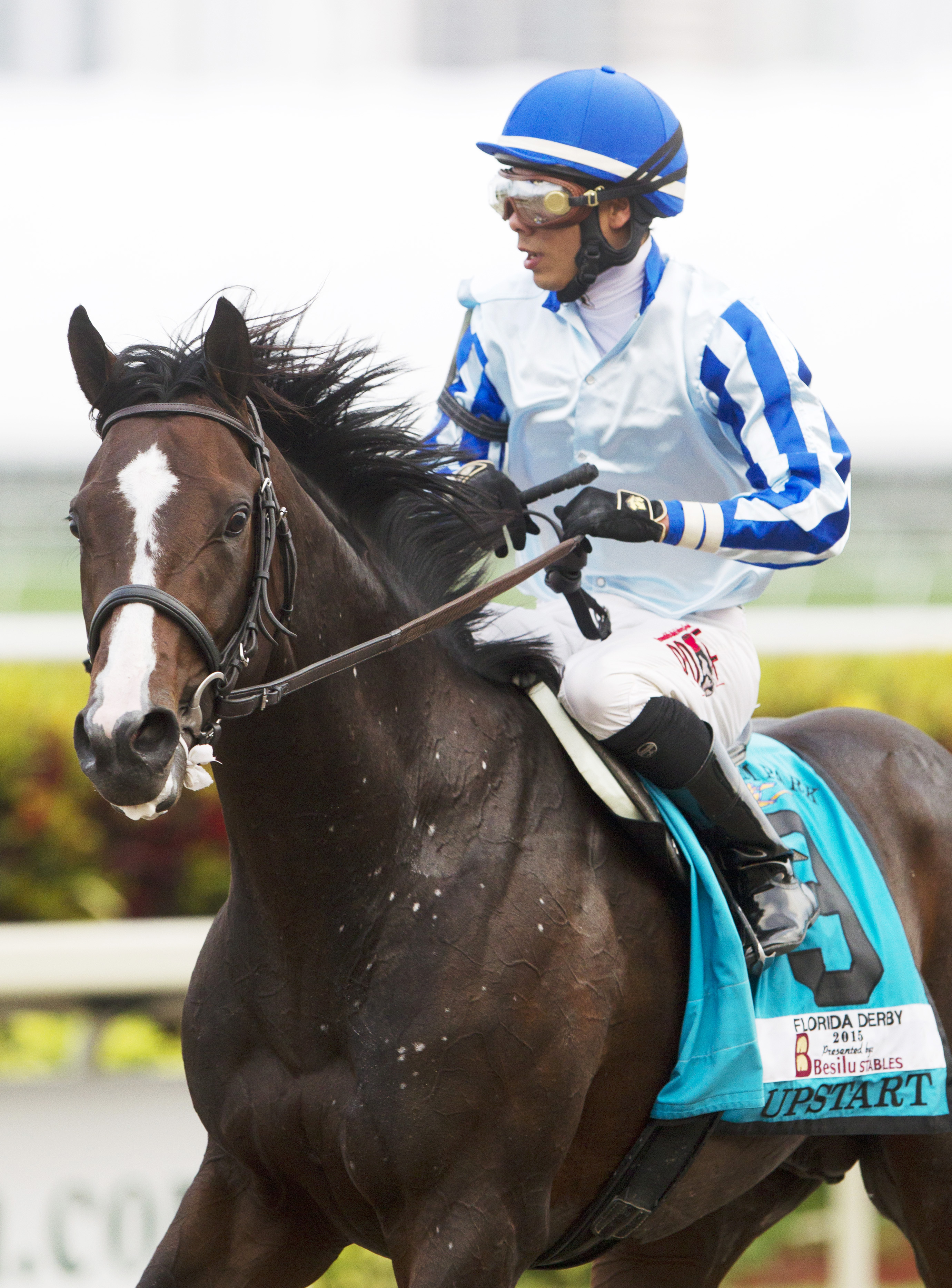 Upstart finishes second in the Florida Derby