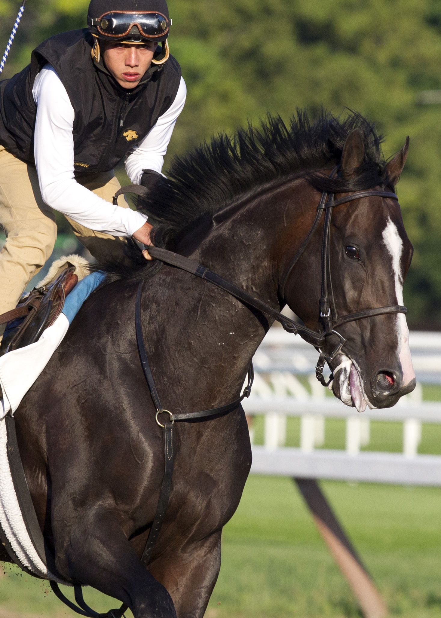 Upstart trains at Saratoga on July 22