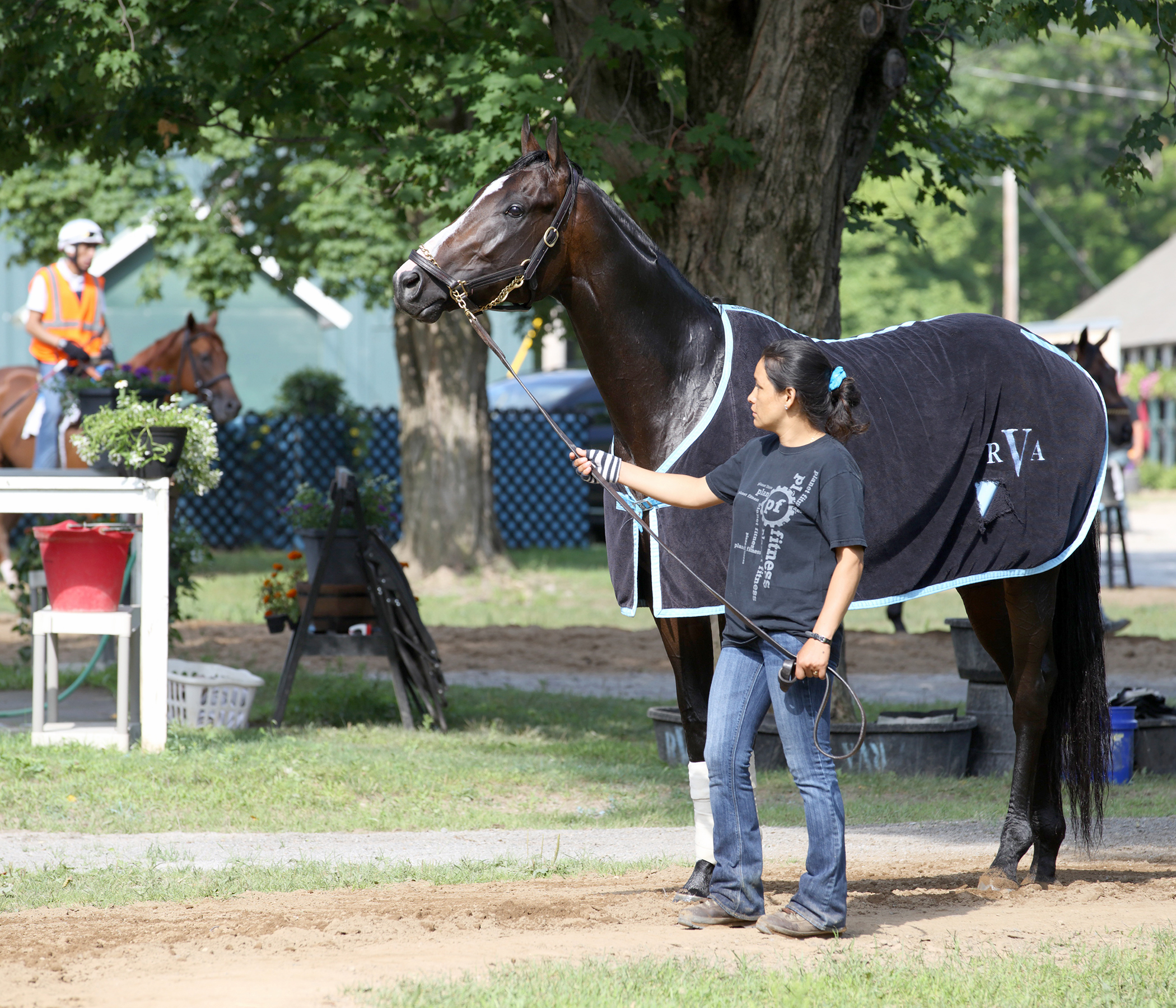 Upstart at Saratoga on July 25