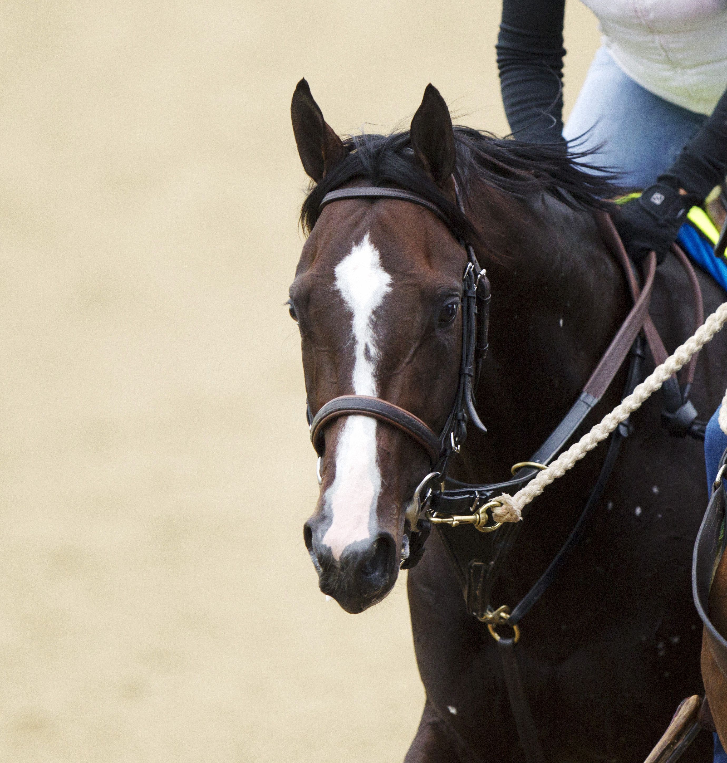 Upstart