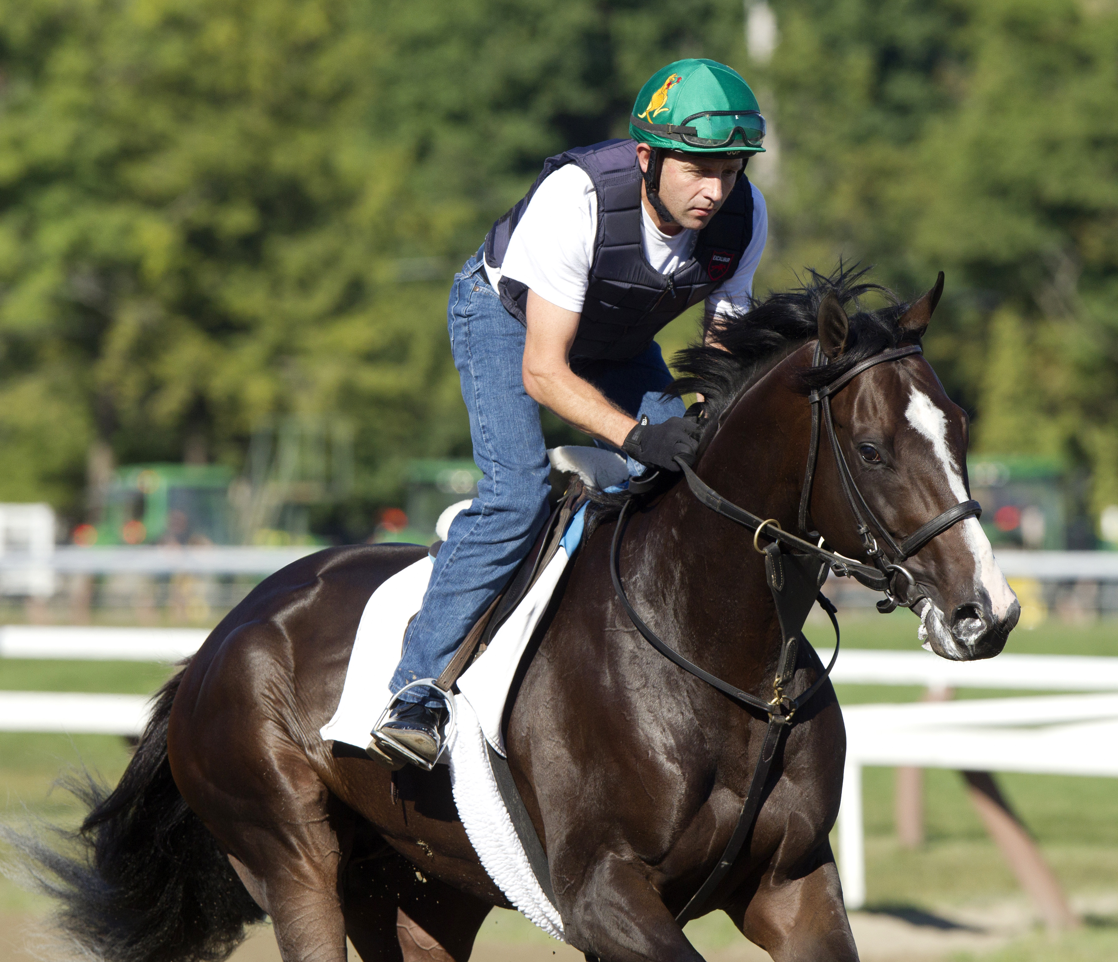 Upstart at Saratoga in August