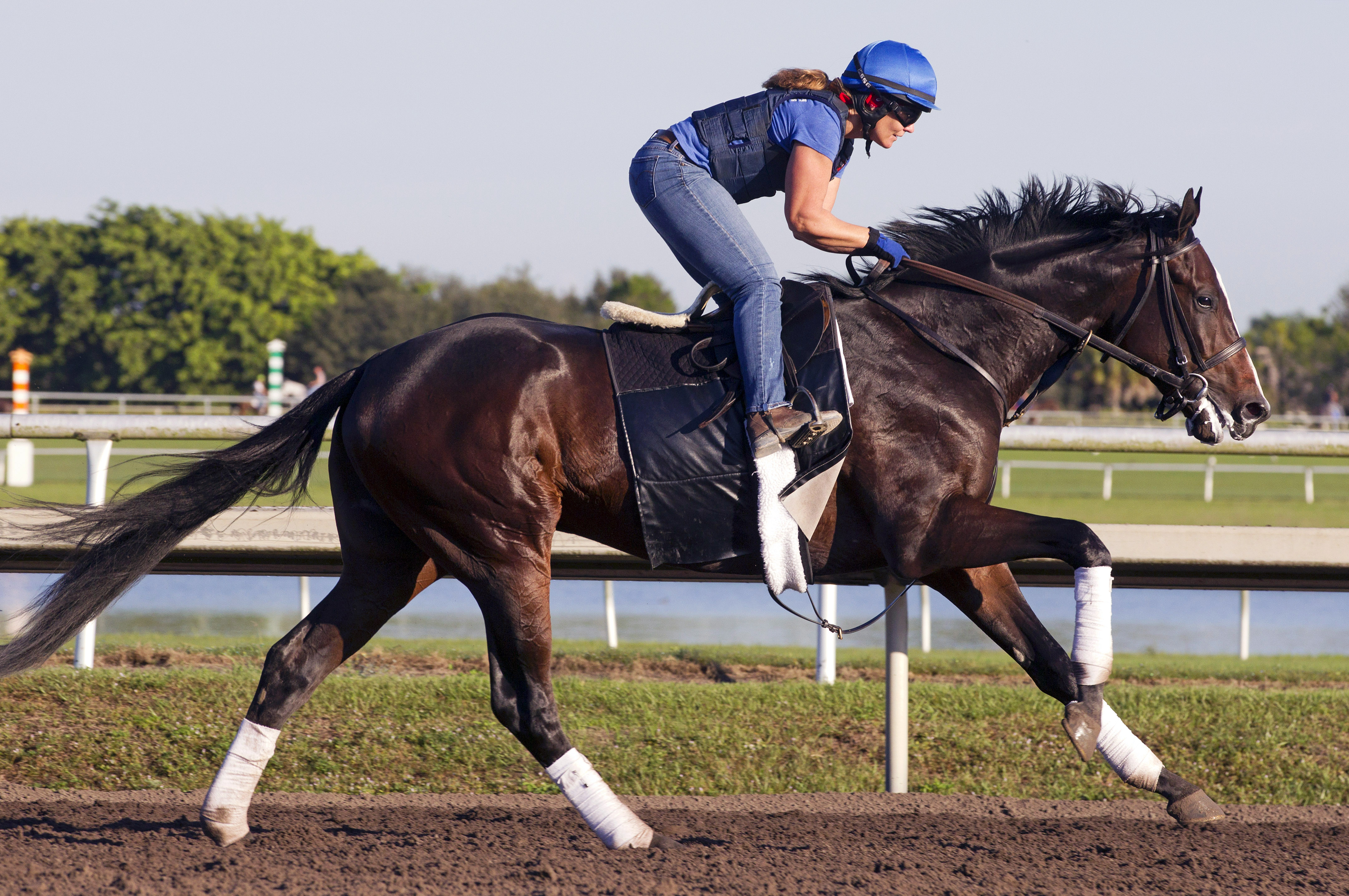 Upstart training at Palm Meadows on Jan. 22