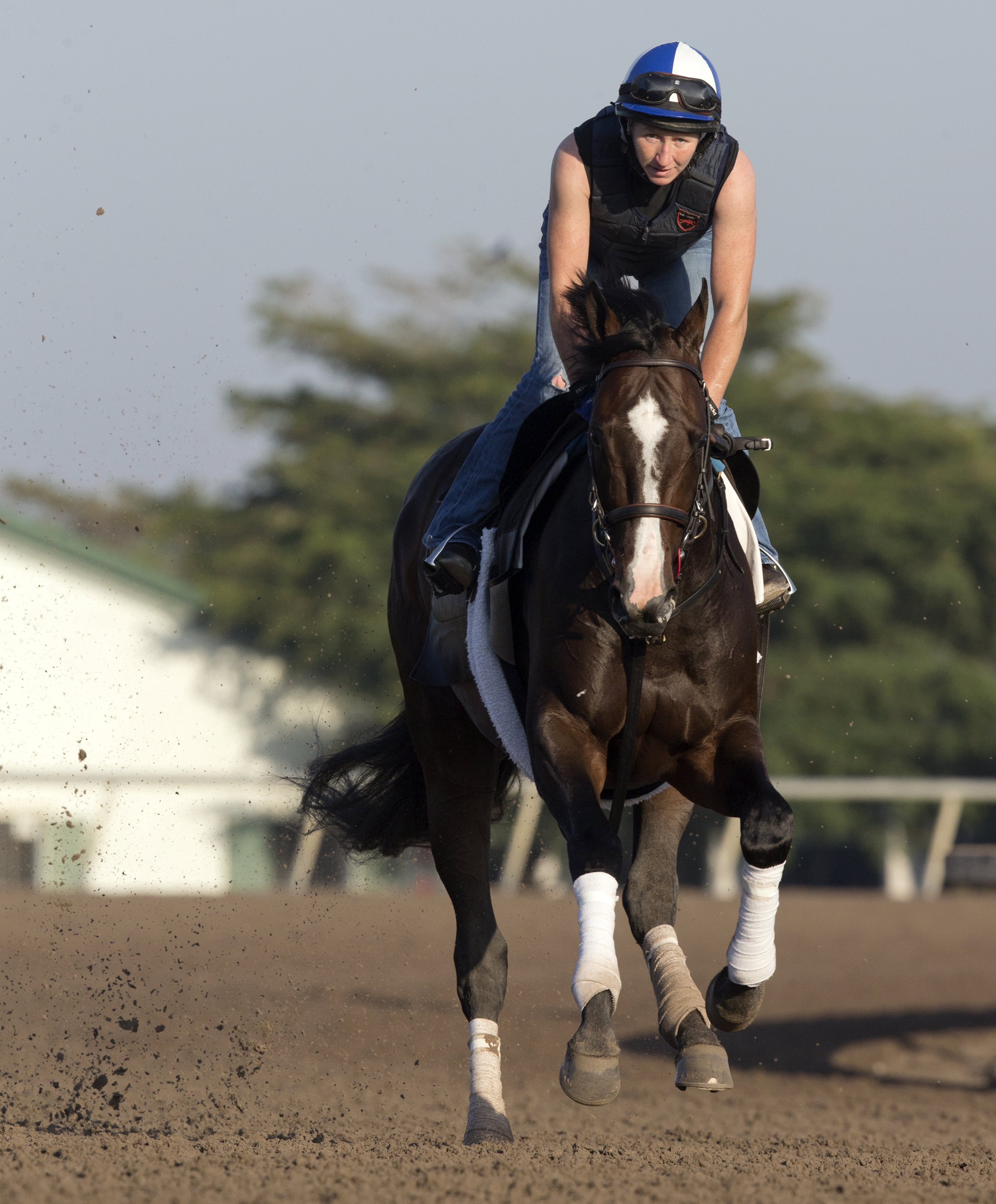 Upstart trains at Palm Meadows on March 29