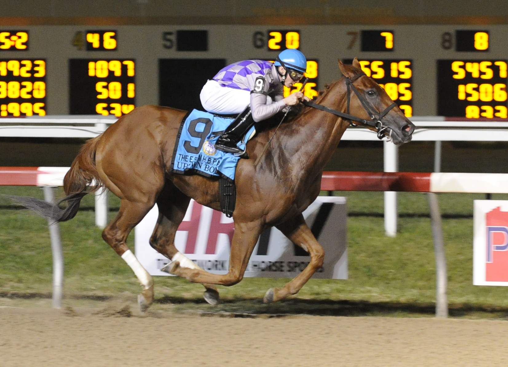 Uptown Boy, E Dubai HBPA Stakes