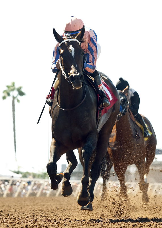 Uzziel wins 2015 CERF