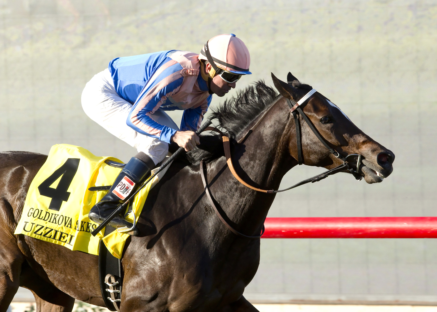 Uzziel wins the Goldikova