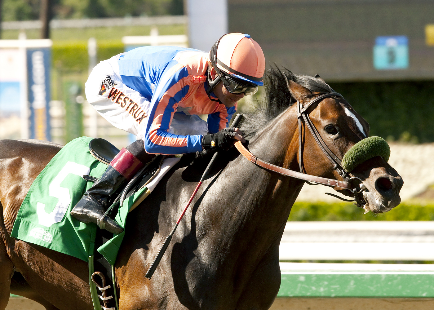 Uzziel wins the Santa Paula Stakes