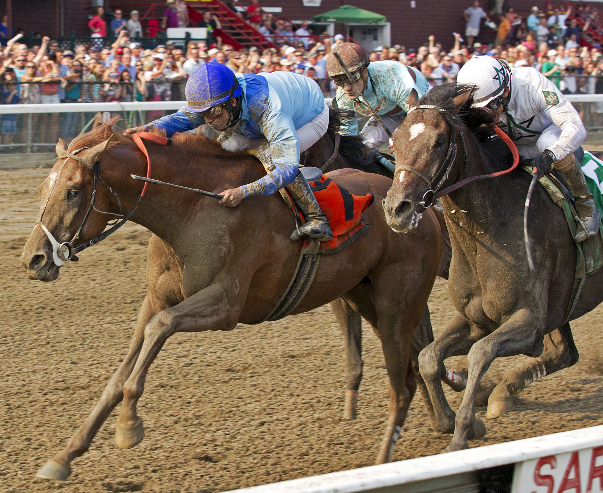 V. E. Day wins the Curlin Stakes