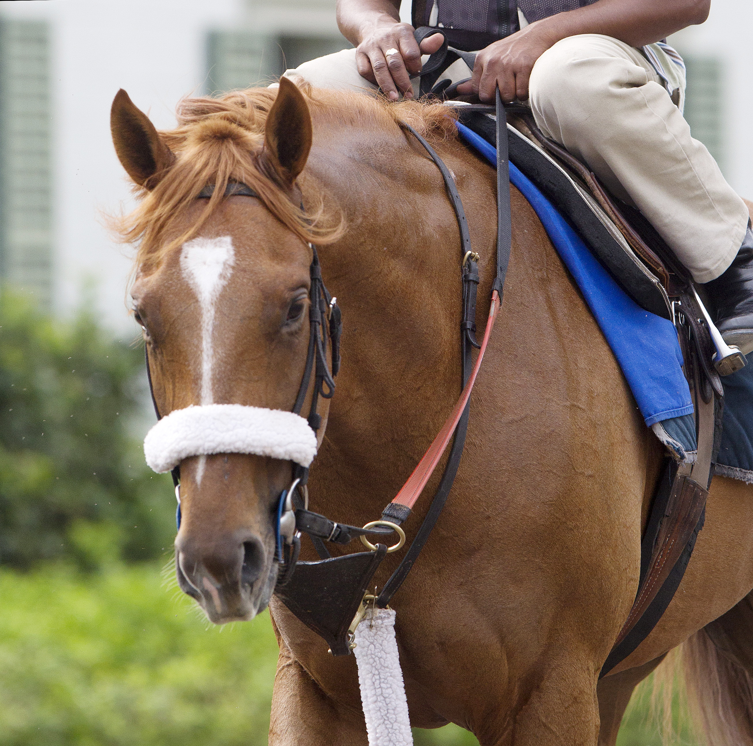 V. E. Day at Palm Meadows on March 26